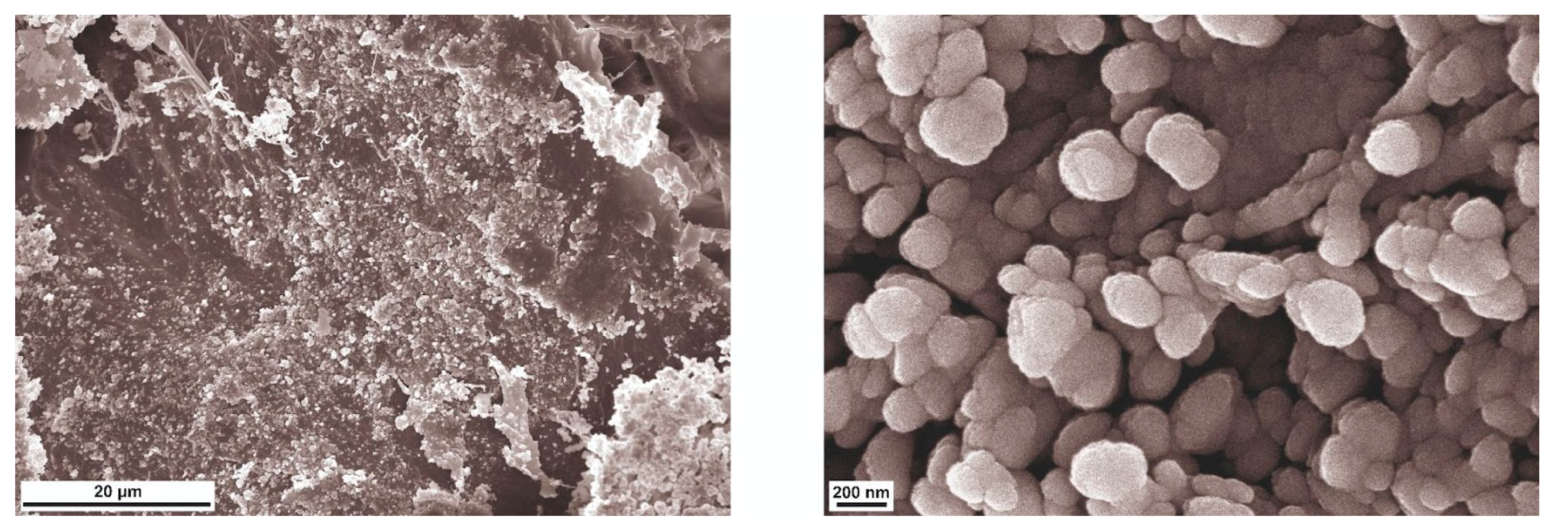 Polymers 17 01690 g017