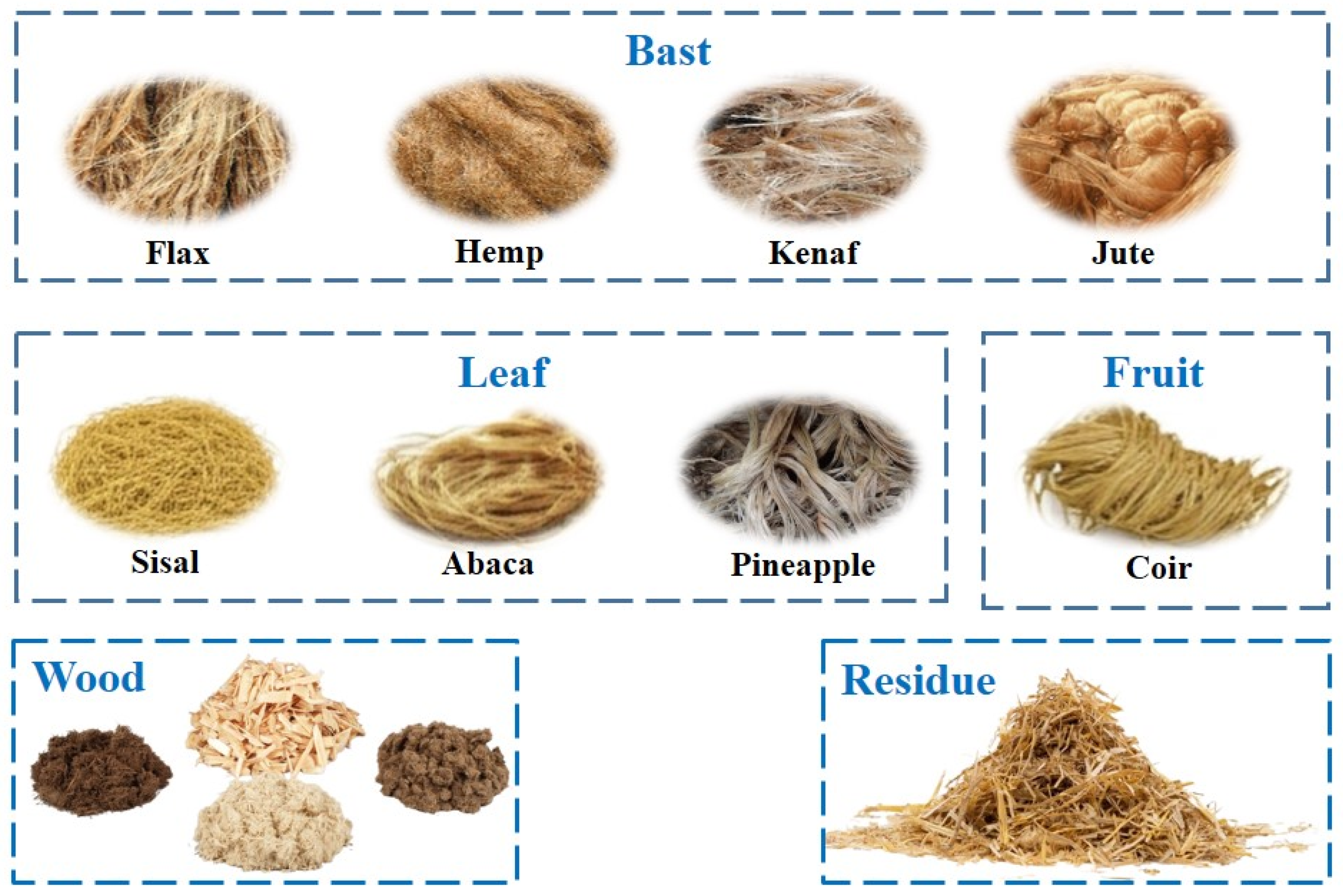 Polymers 17 01691 g004
