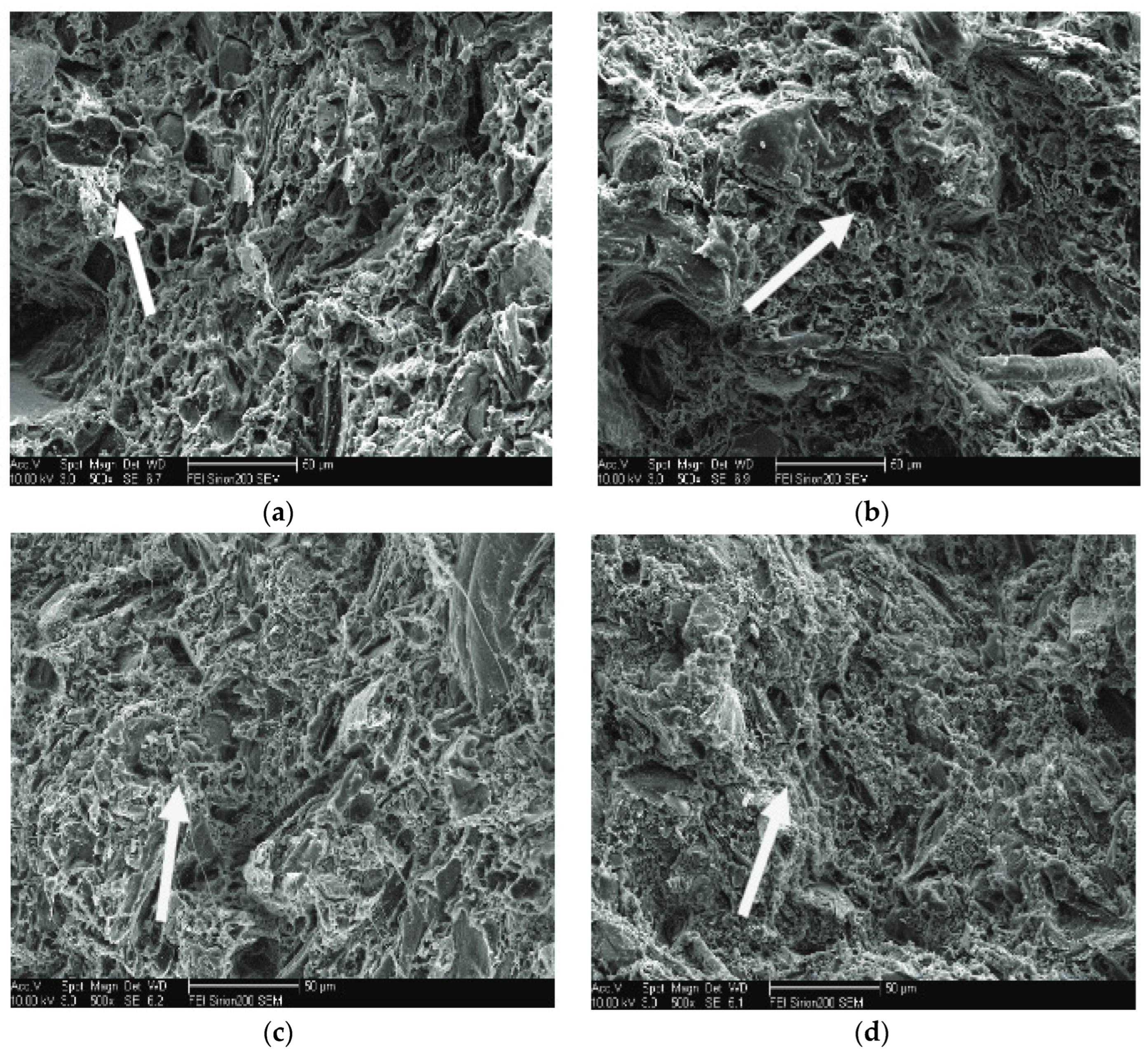 Polymers 17 01691 g006