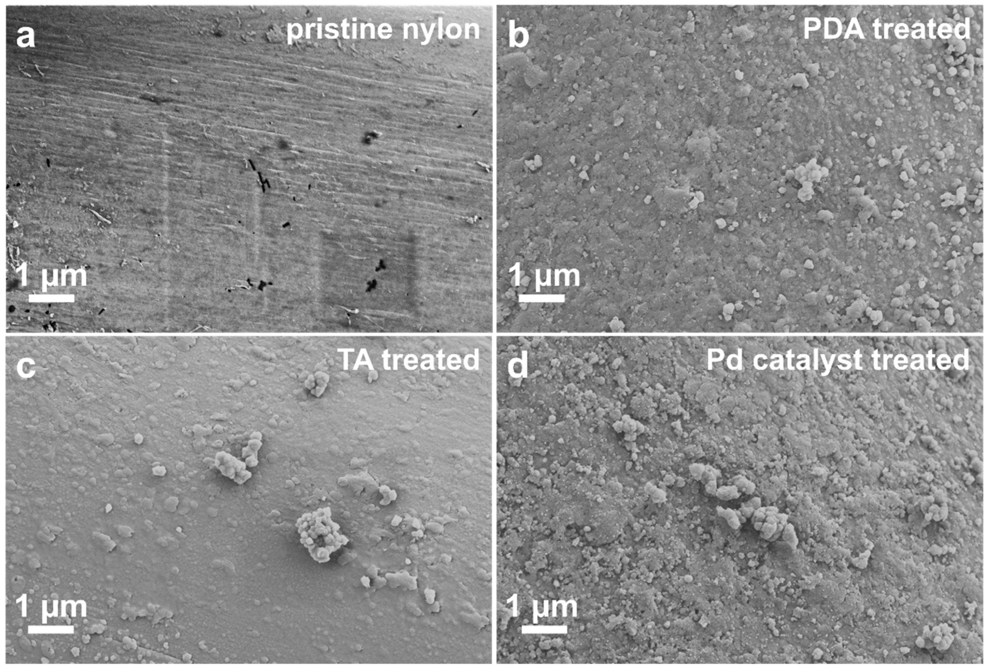 Polymers 17 01693 g003