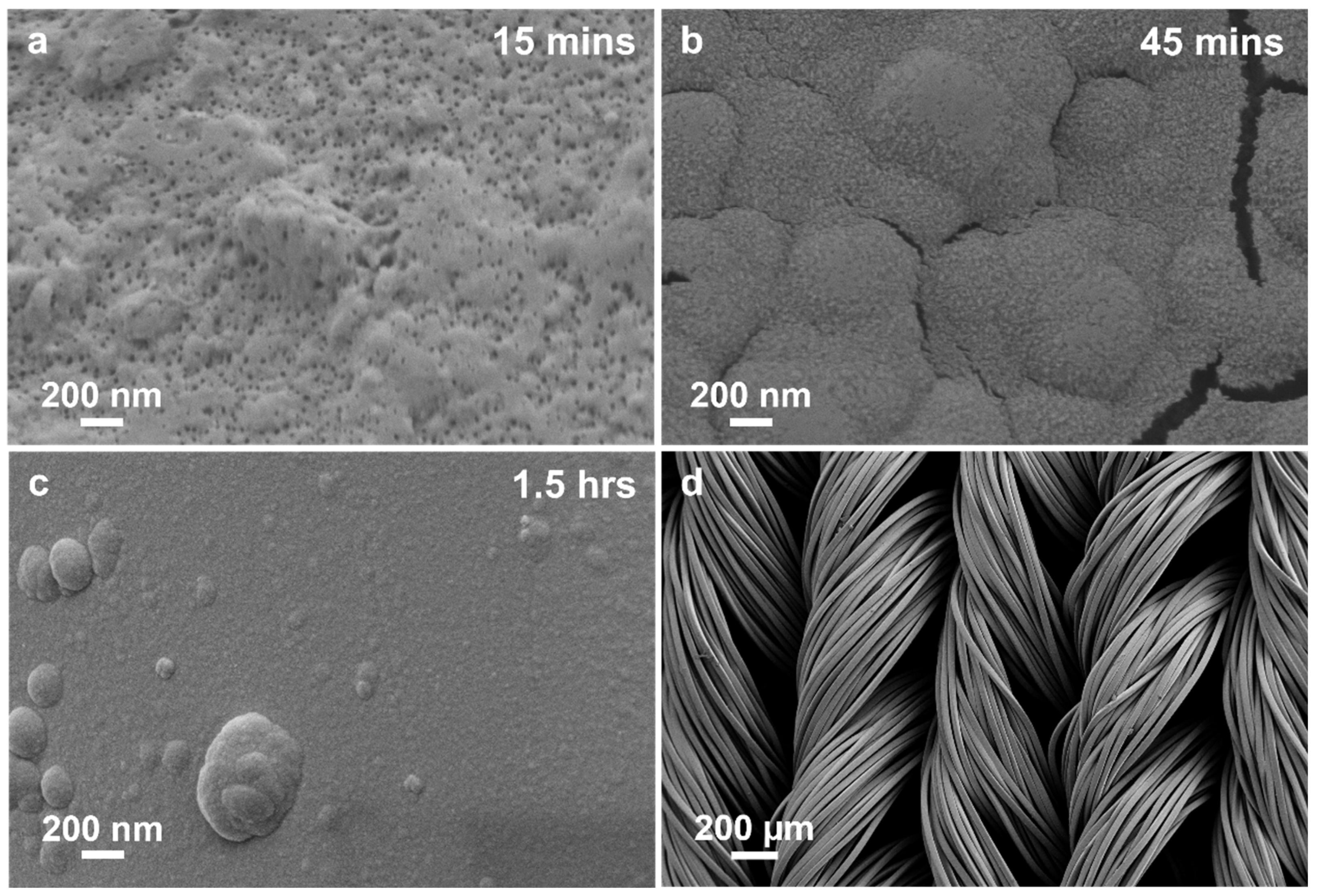 Polymers 17 01693 g005