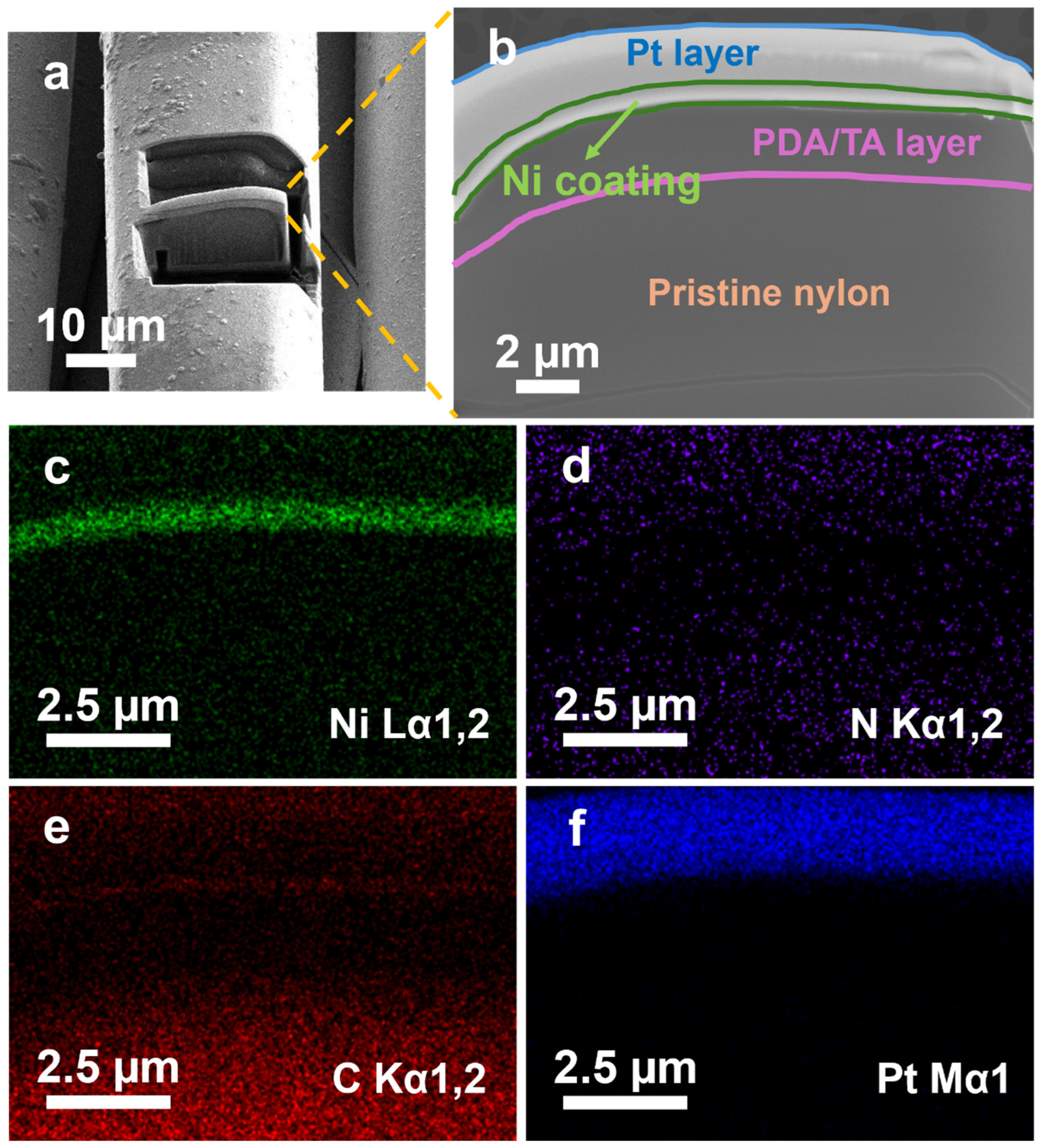 Polymers 17 01693 g006