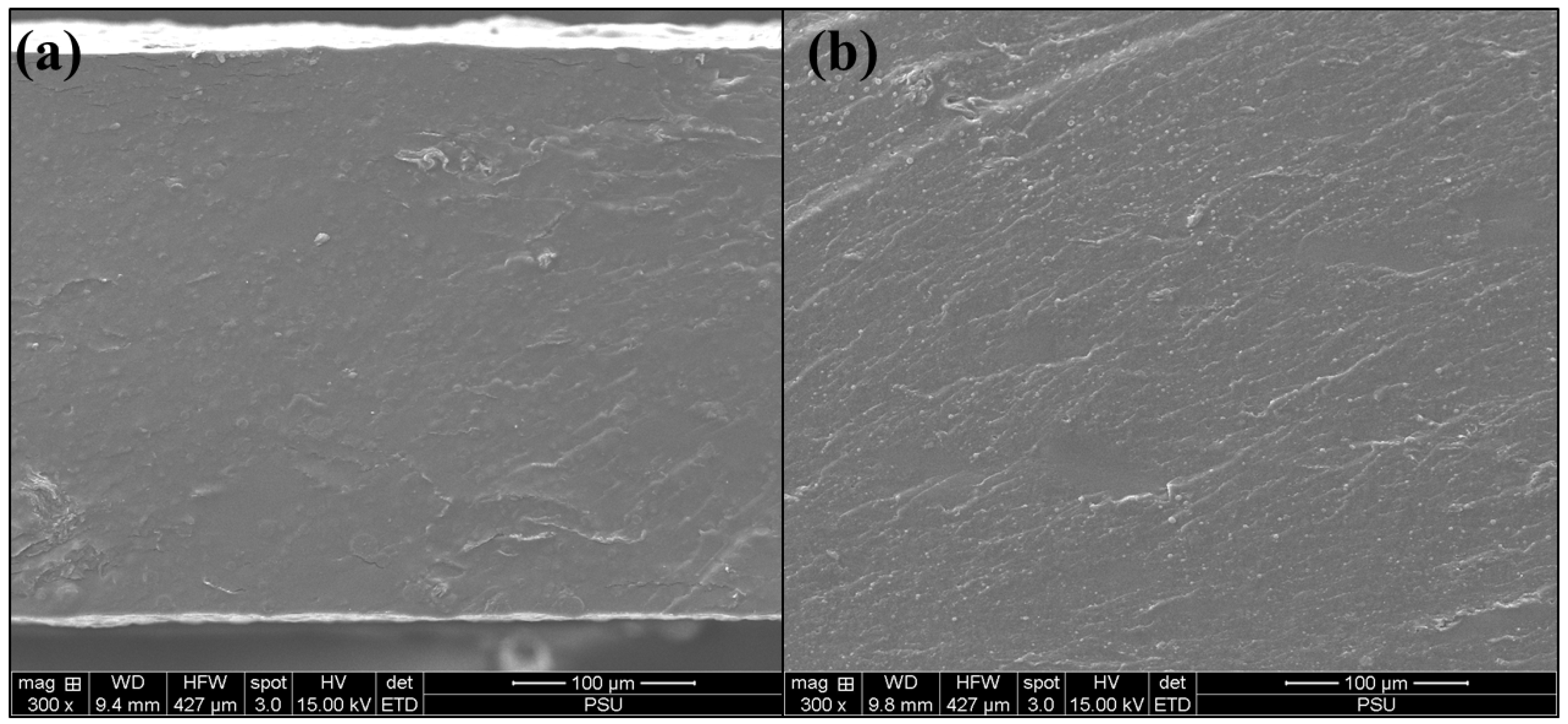 Polymers 17 01697 g005