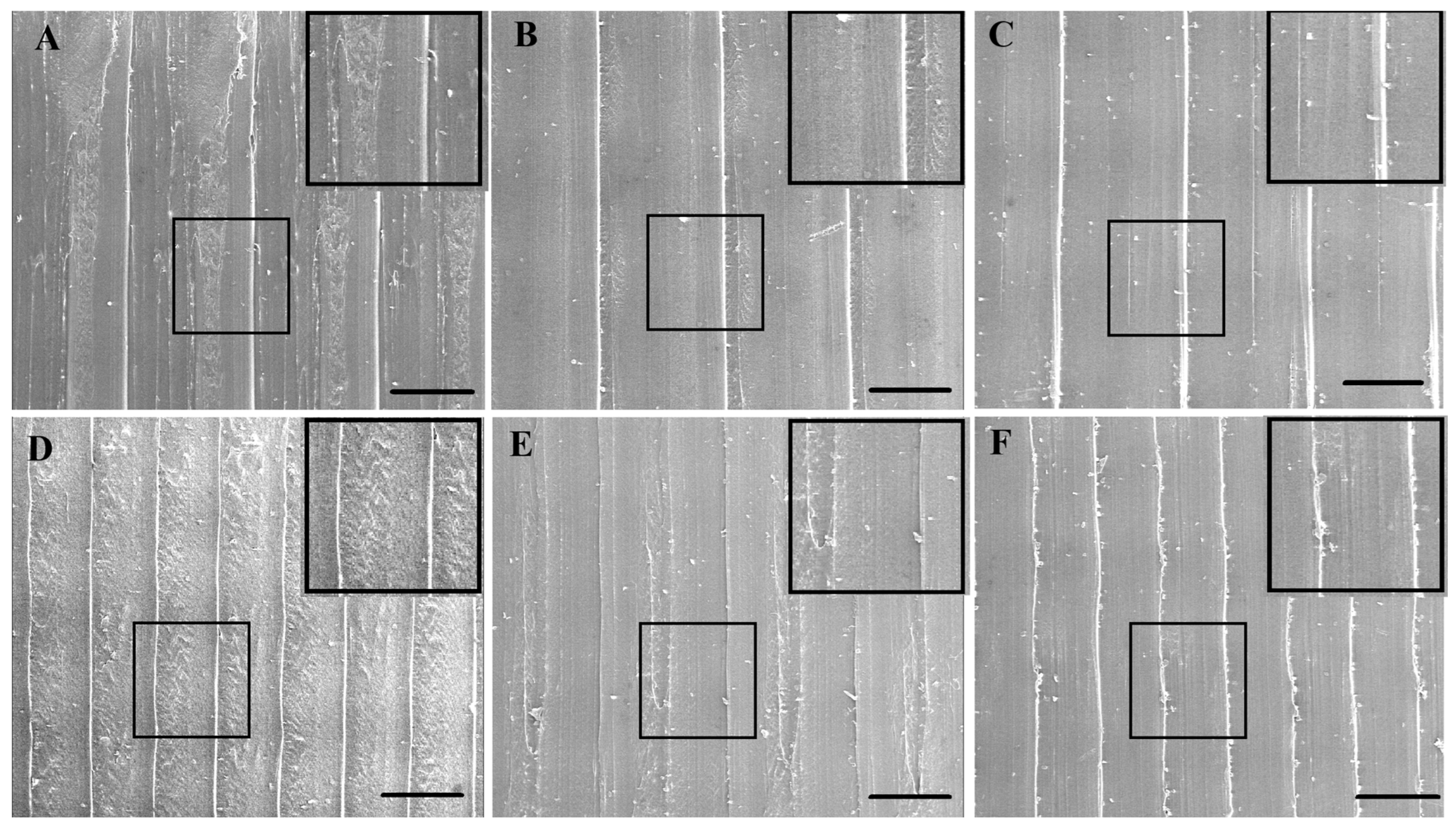 Polymers 17 01698 g005