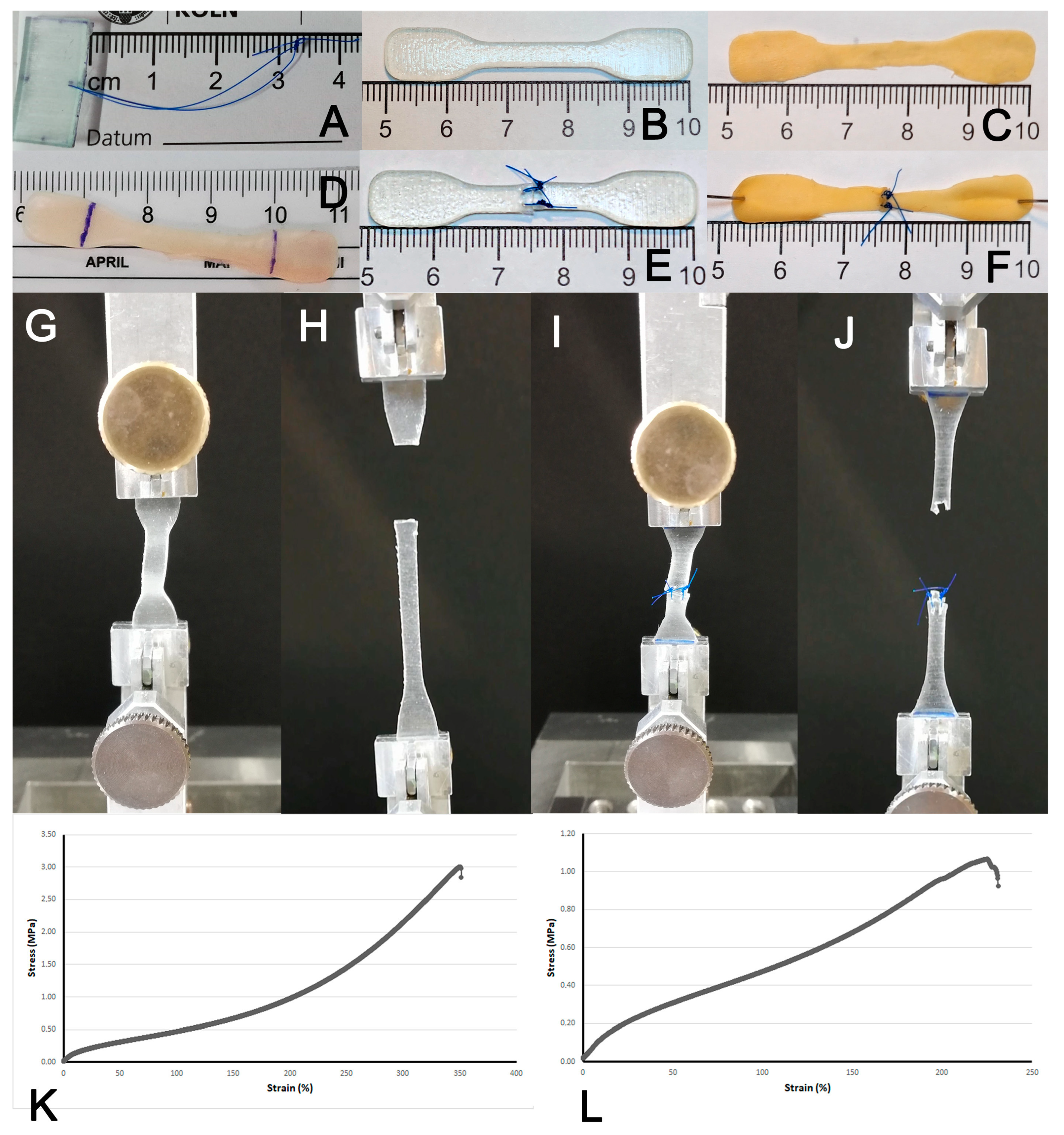 Polymers 17 01700 g001