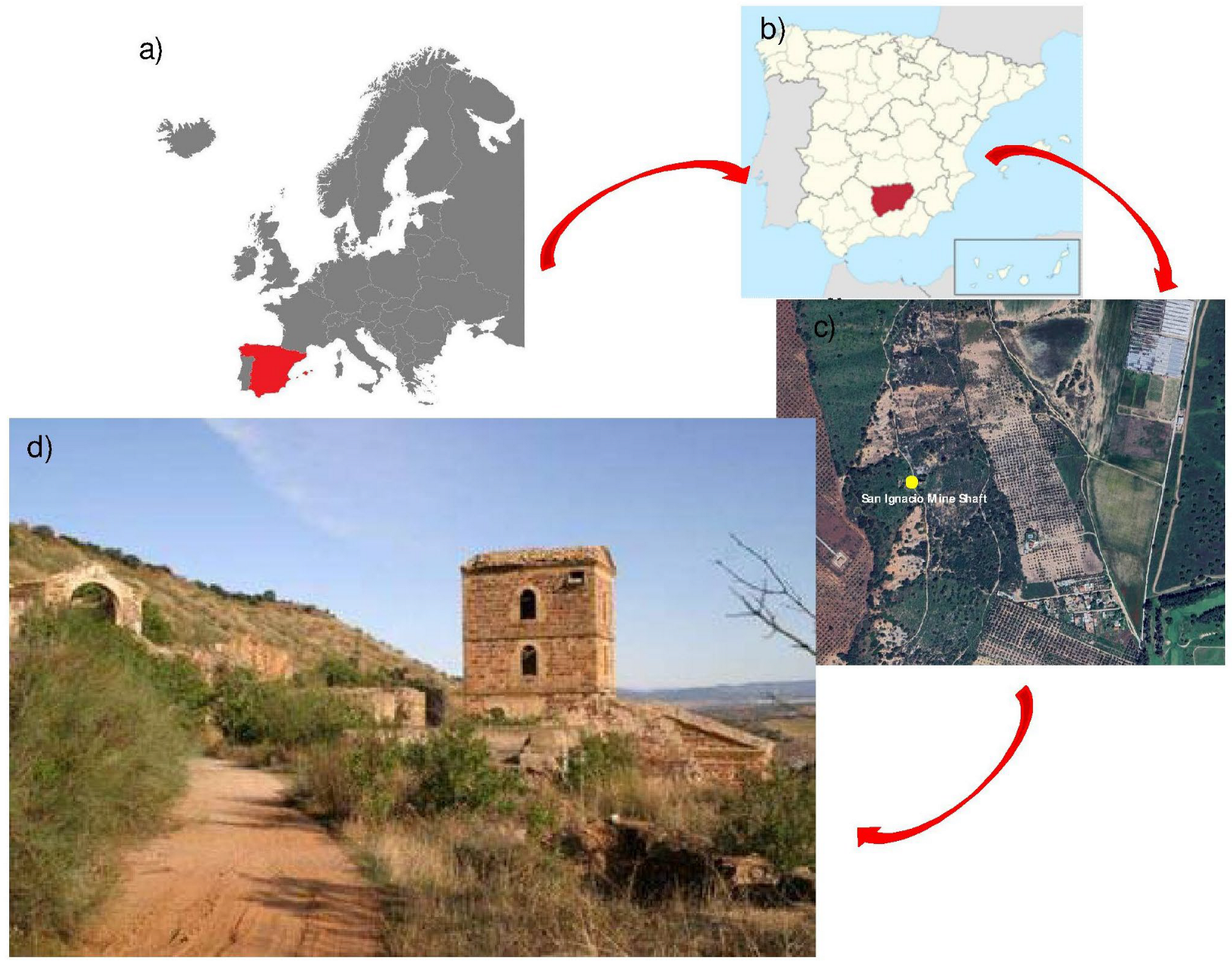 Polymers 17 01704 g002