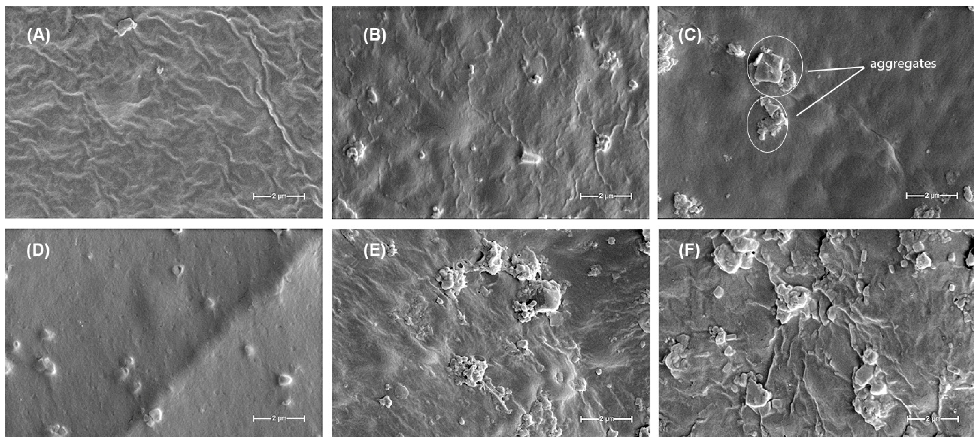 Polymers 17 01707 g010