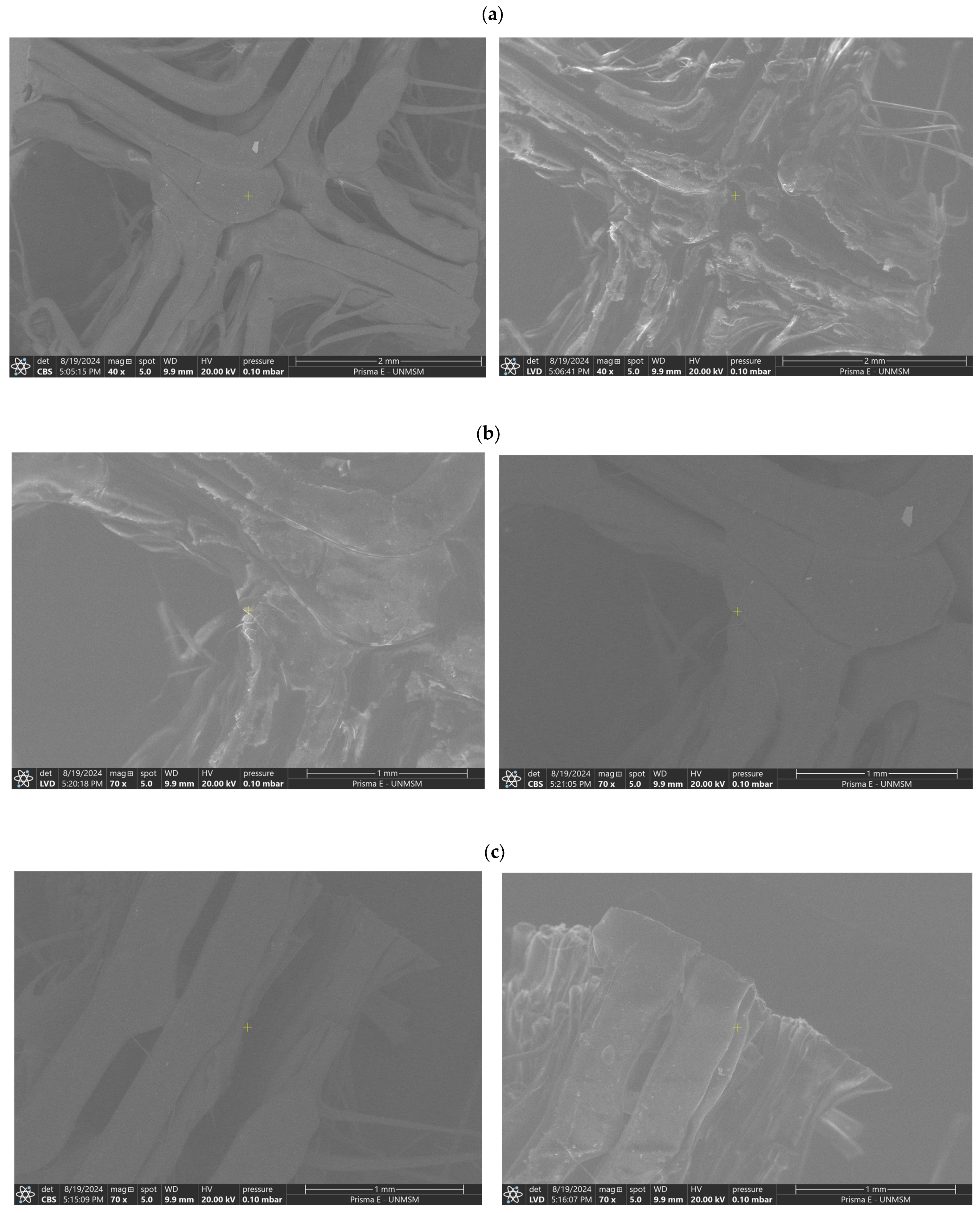 Polymers 17 01708 g018