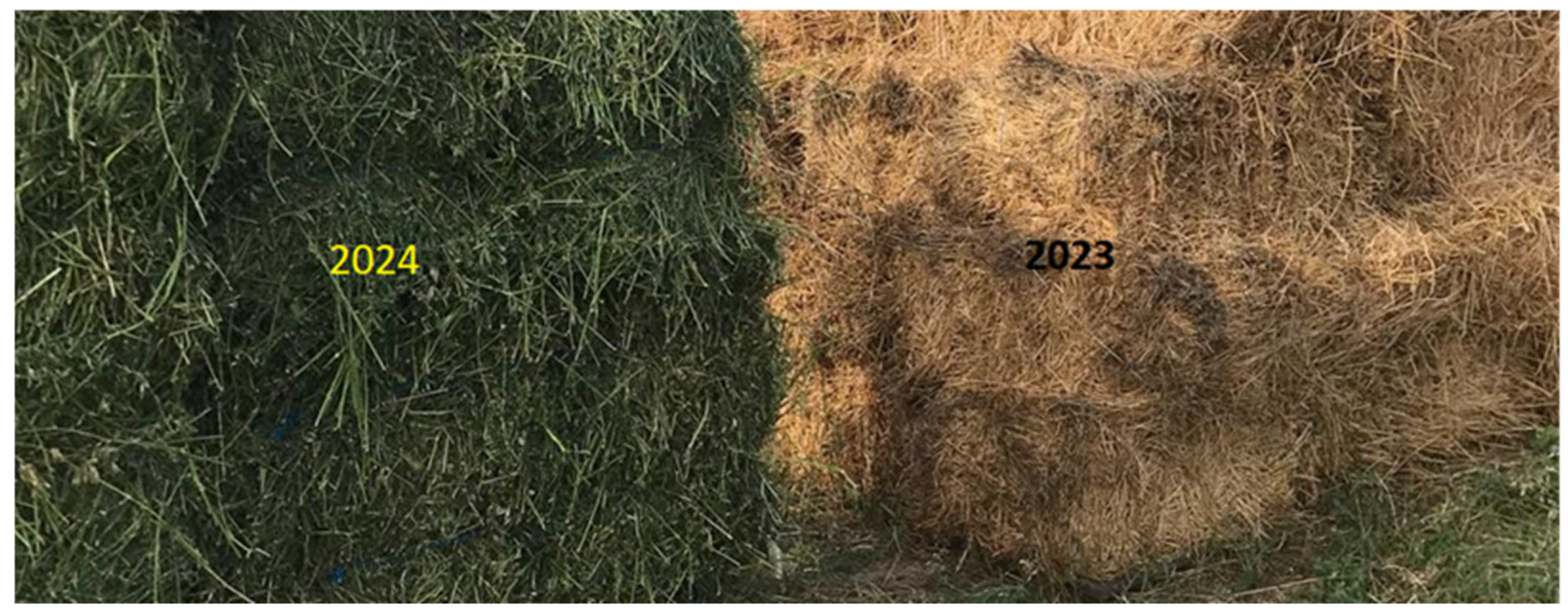 Polymers 17 01709 g001