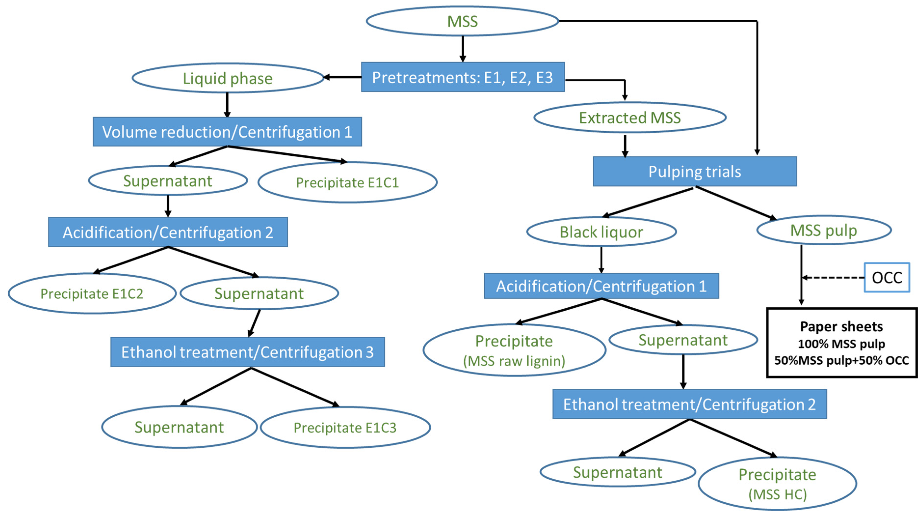 Polymers 17 01709 g002