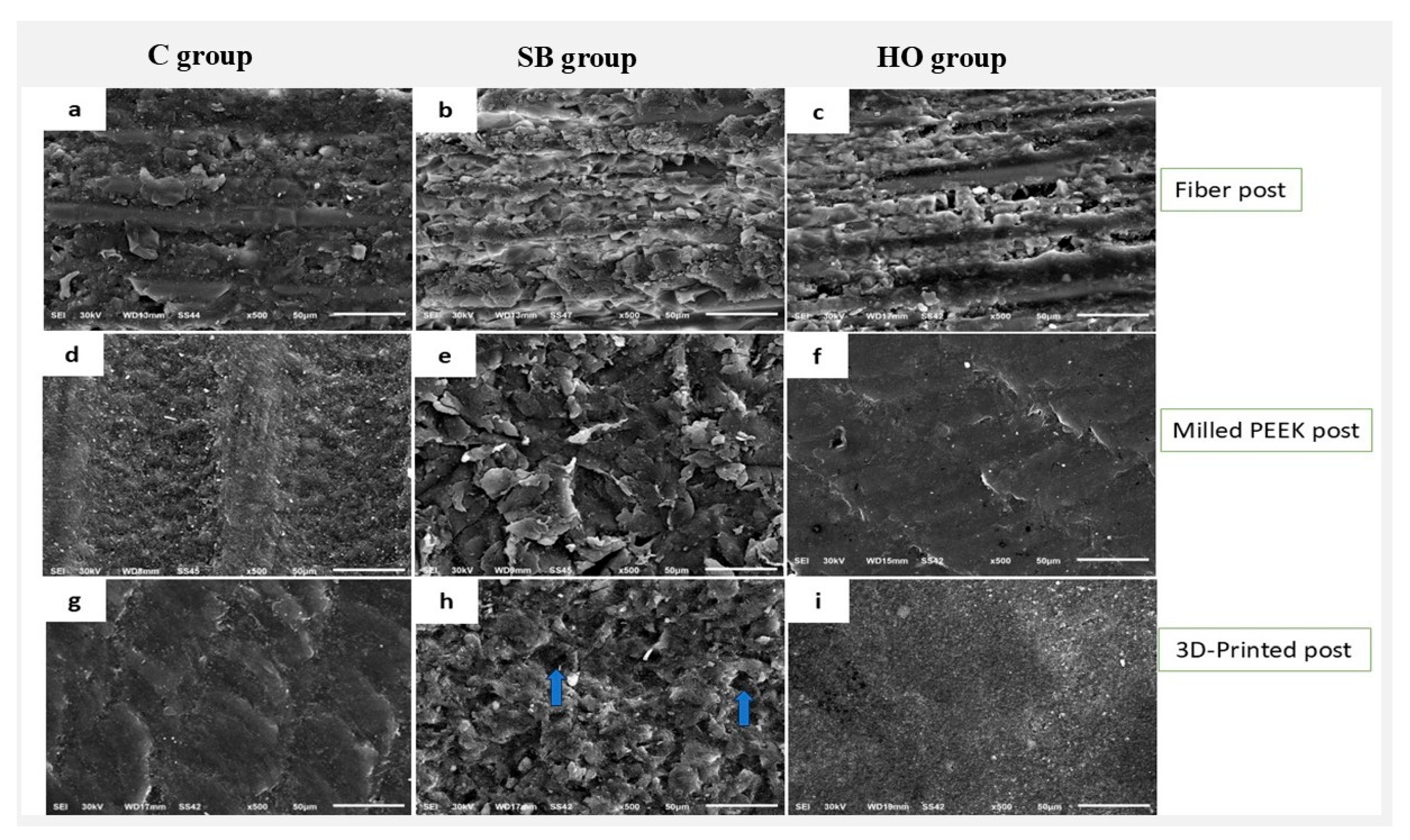 Polymers 17 01711 g004