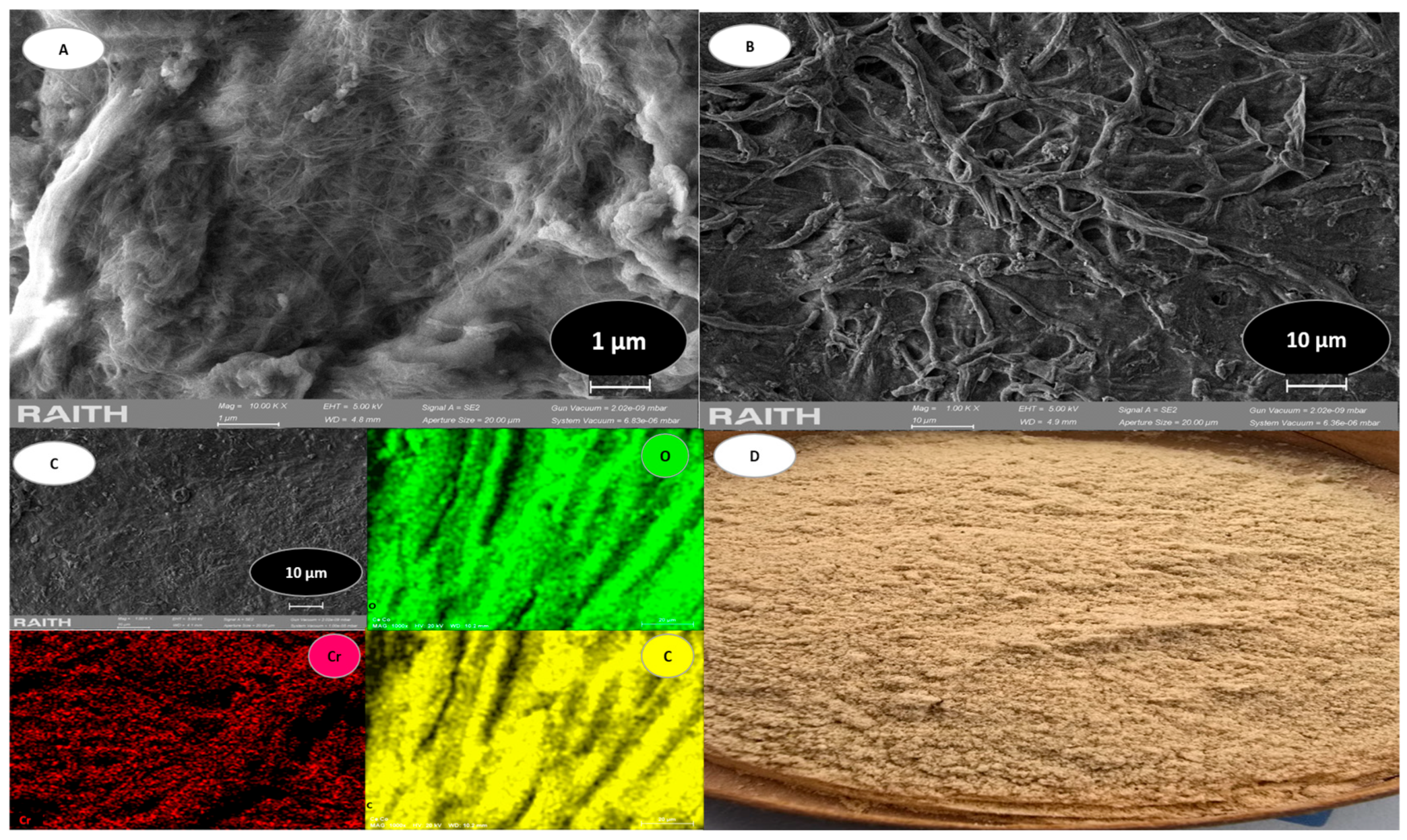 Polymers 17 01712 g004