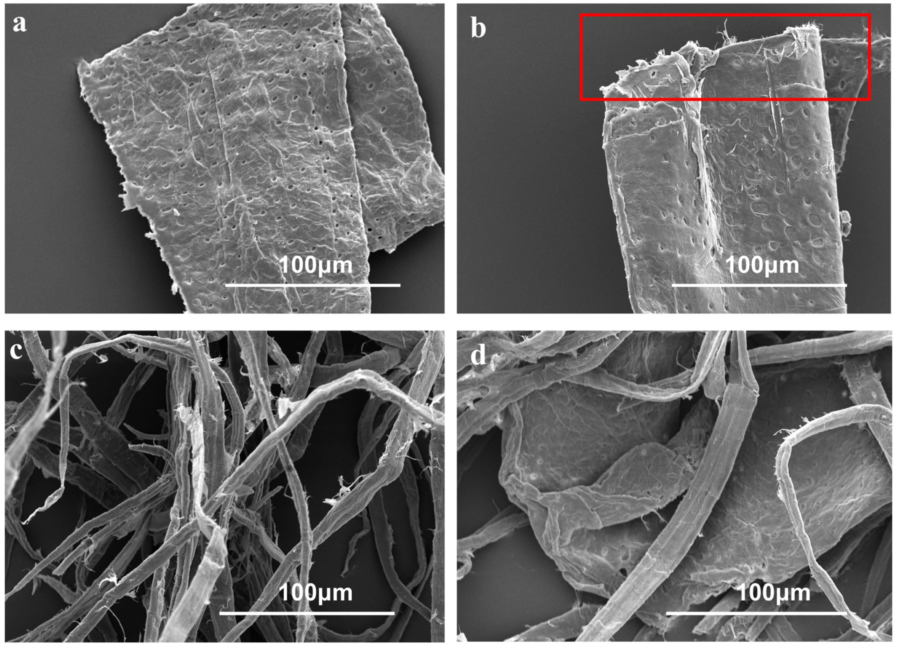 Polymers 17 01714 g005 Polymers 17 01714 g005