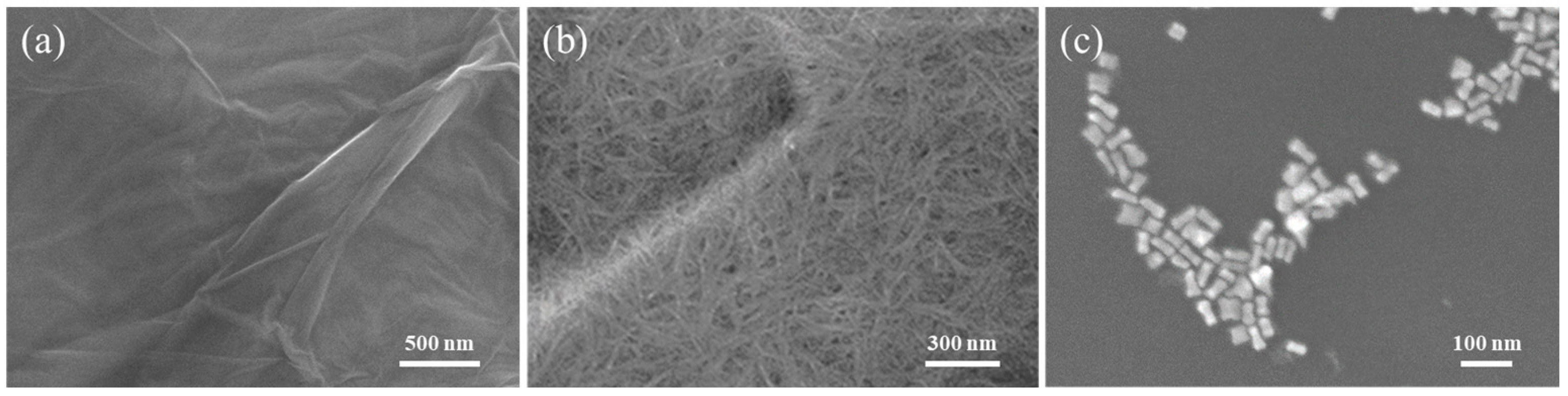 Polymers 17 01716 g001