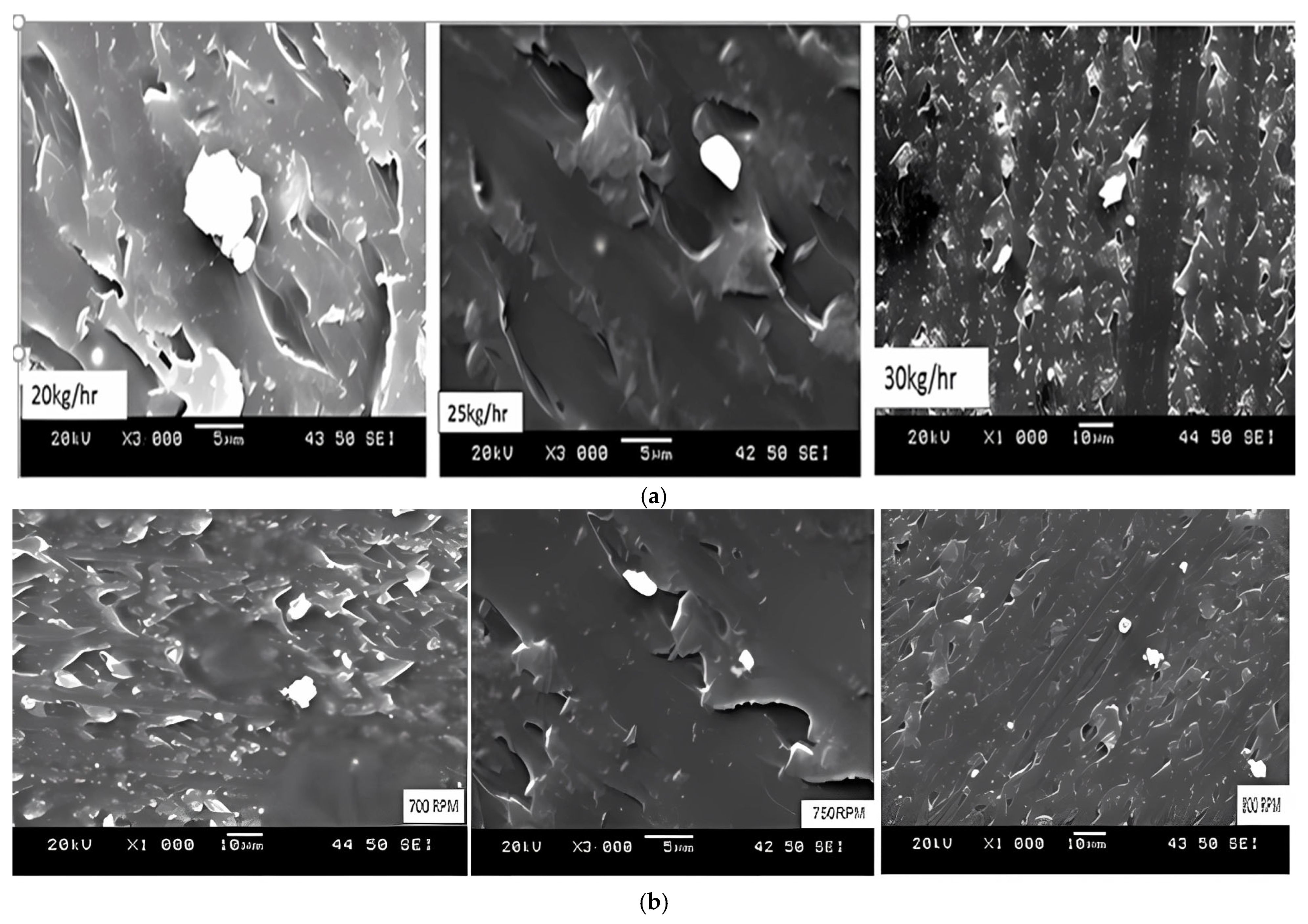 Polymers 17 01719 g004
