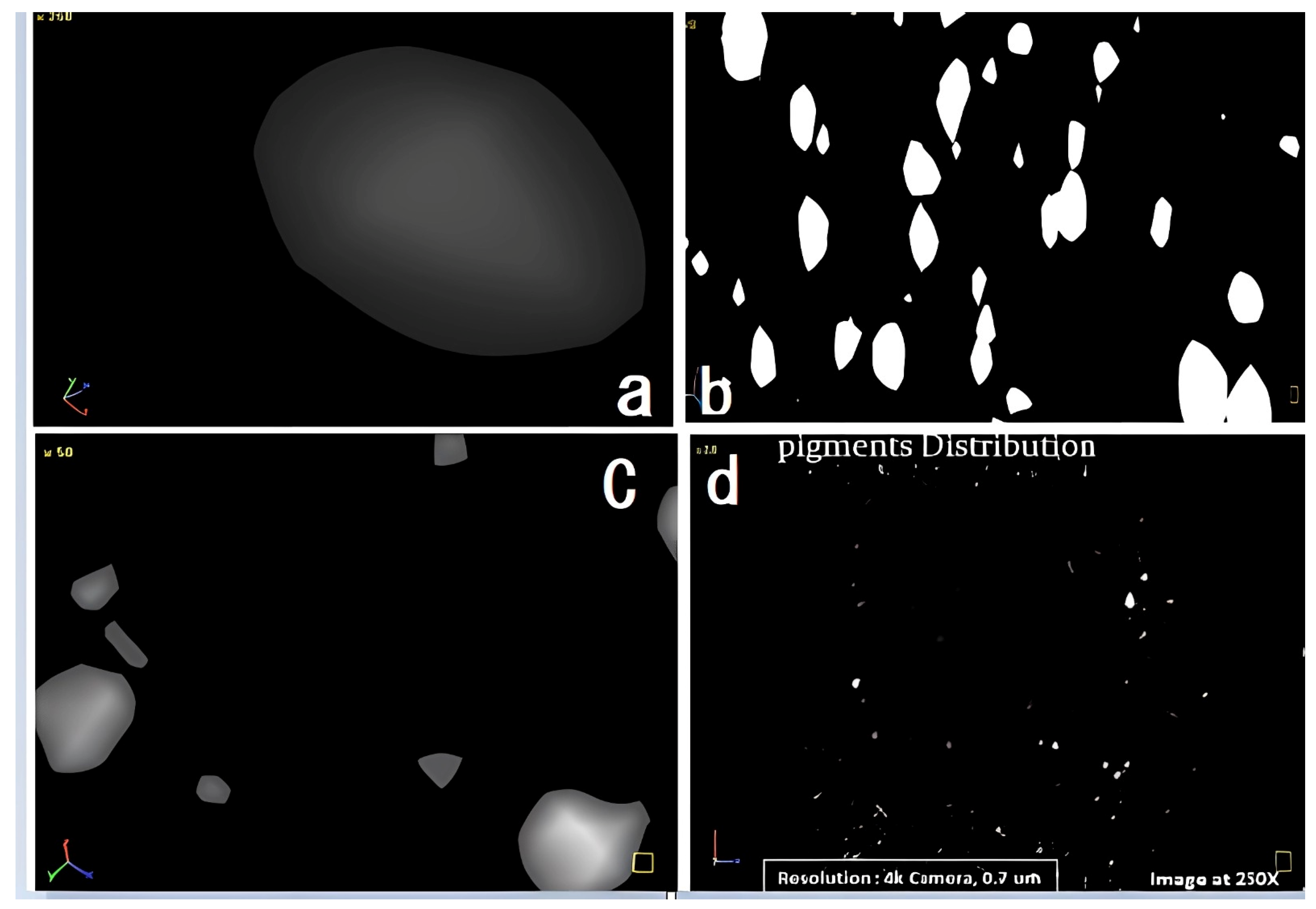 Polymers 17 01719 g006