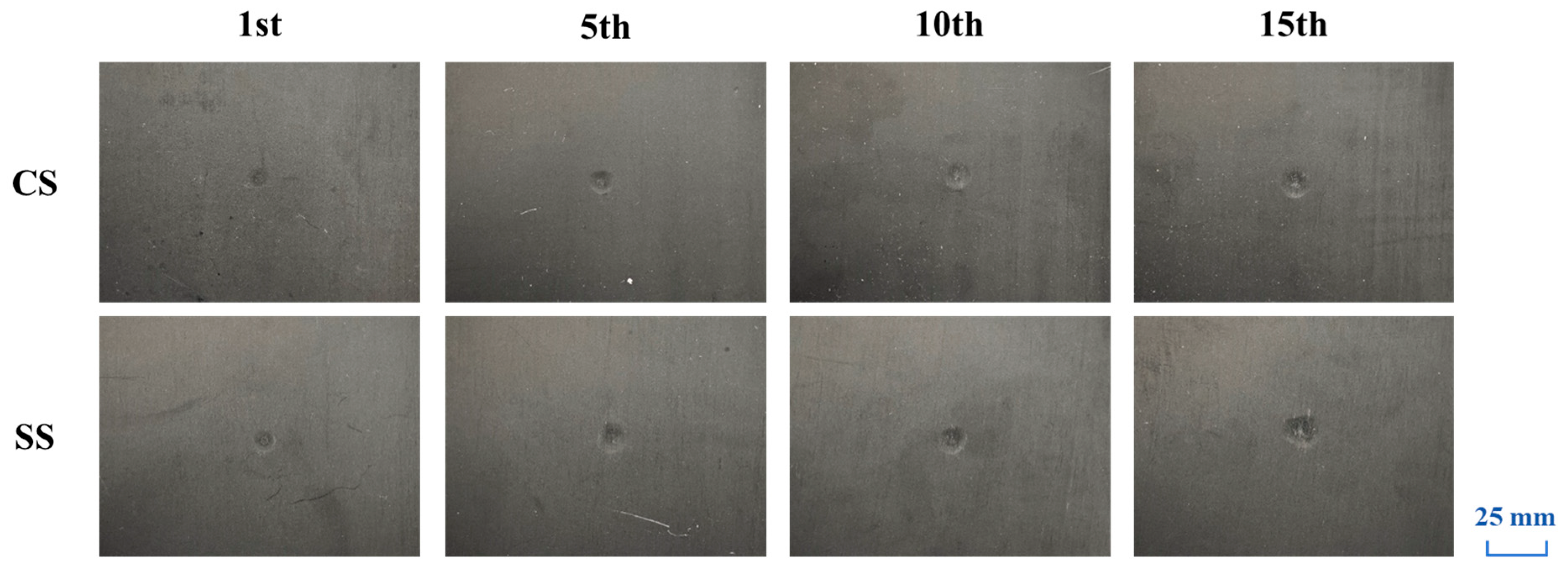 Polymers 17 01720 g005
