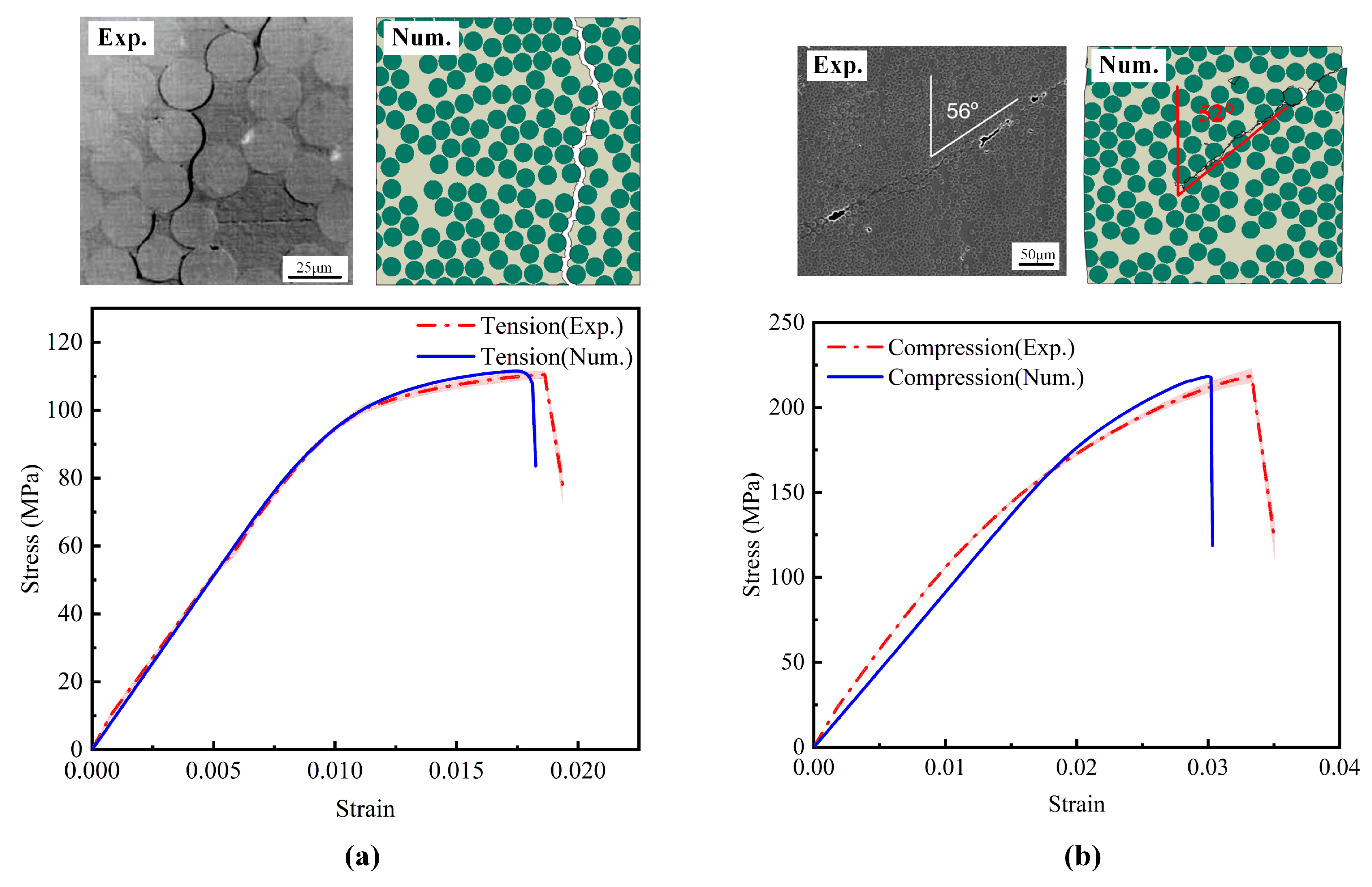 Polymers 17 01721 g010