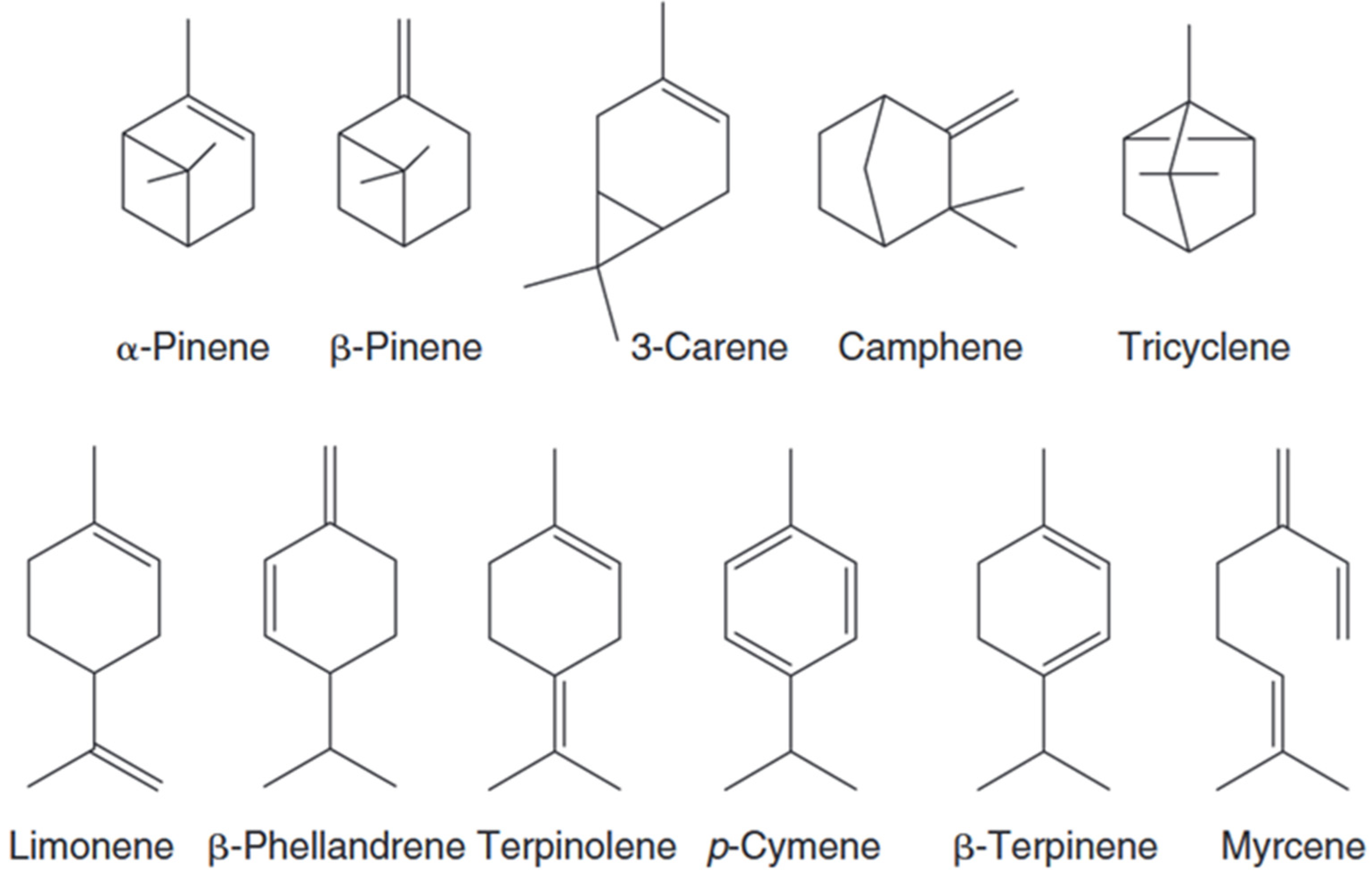 Polymers 17 01722 g004