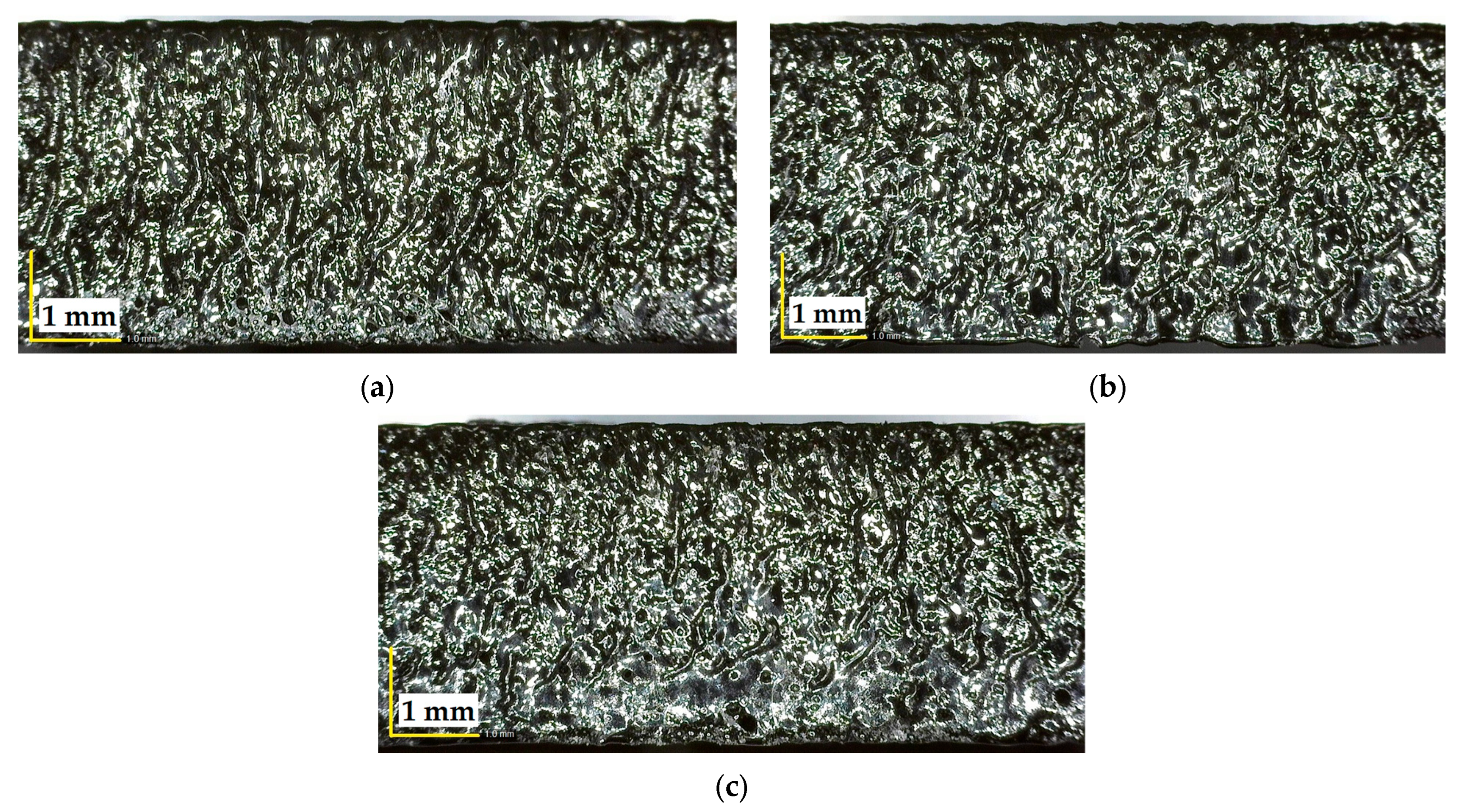 Polymers 17 01728 g007