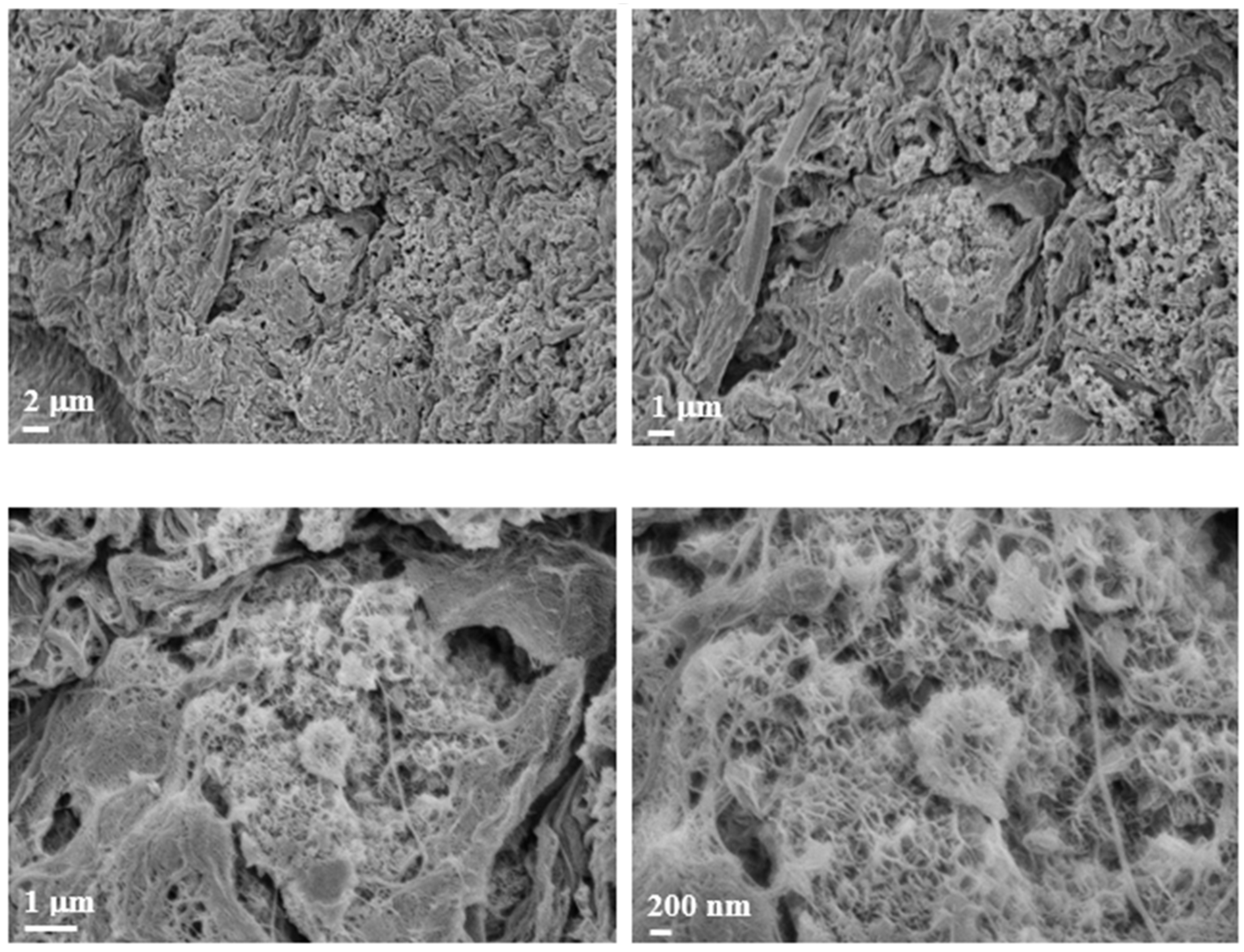 Polymers 17 01730 g008