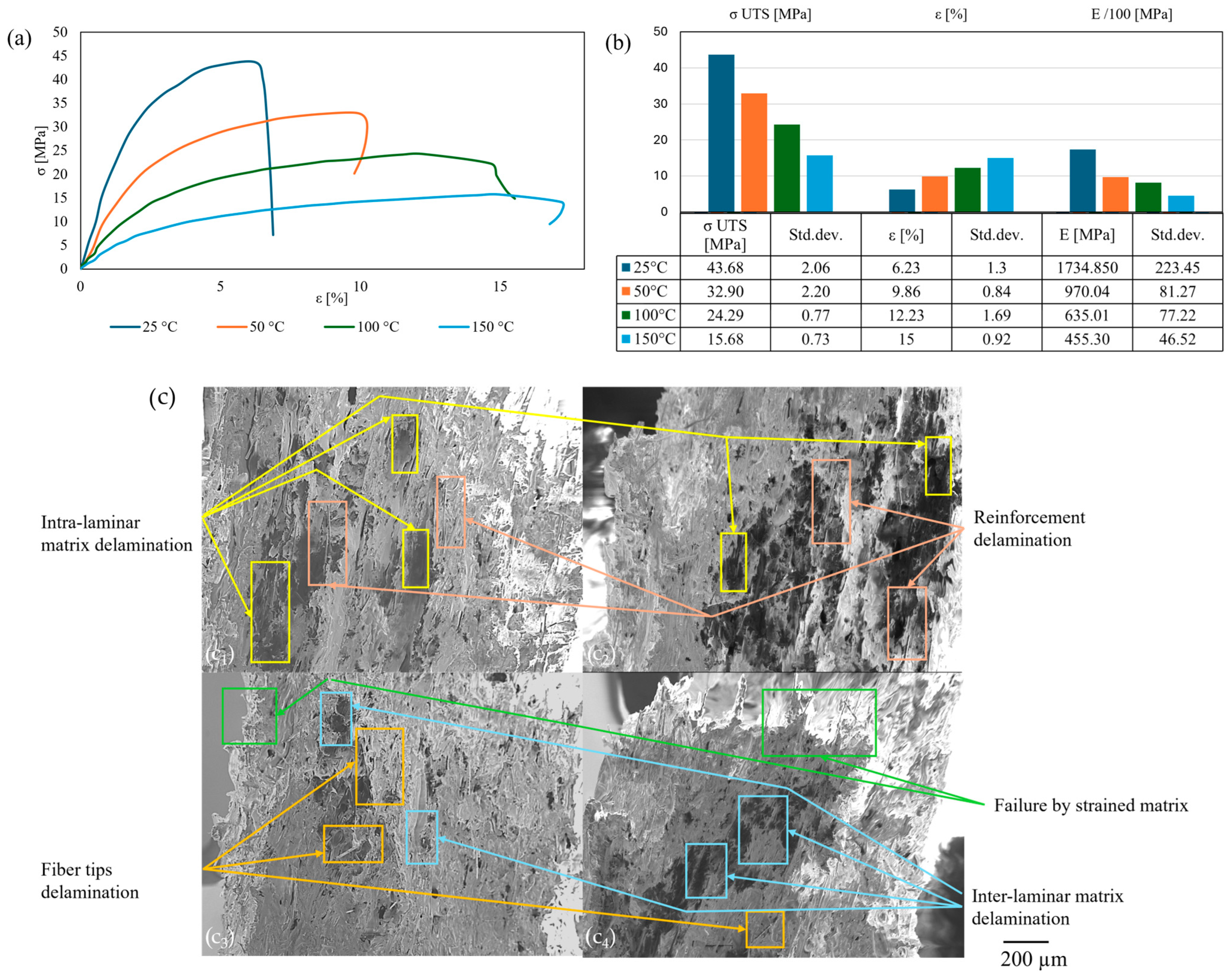 Polymers 17 01732 g011