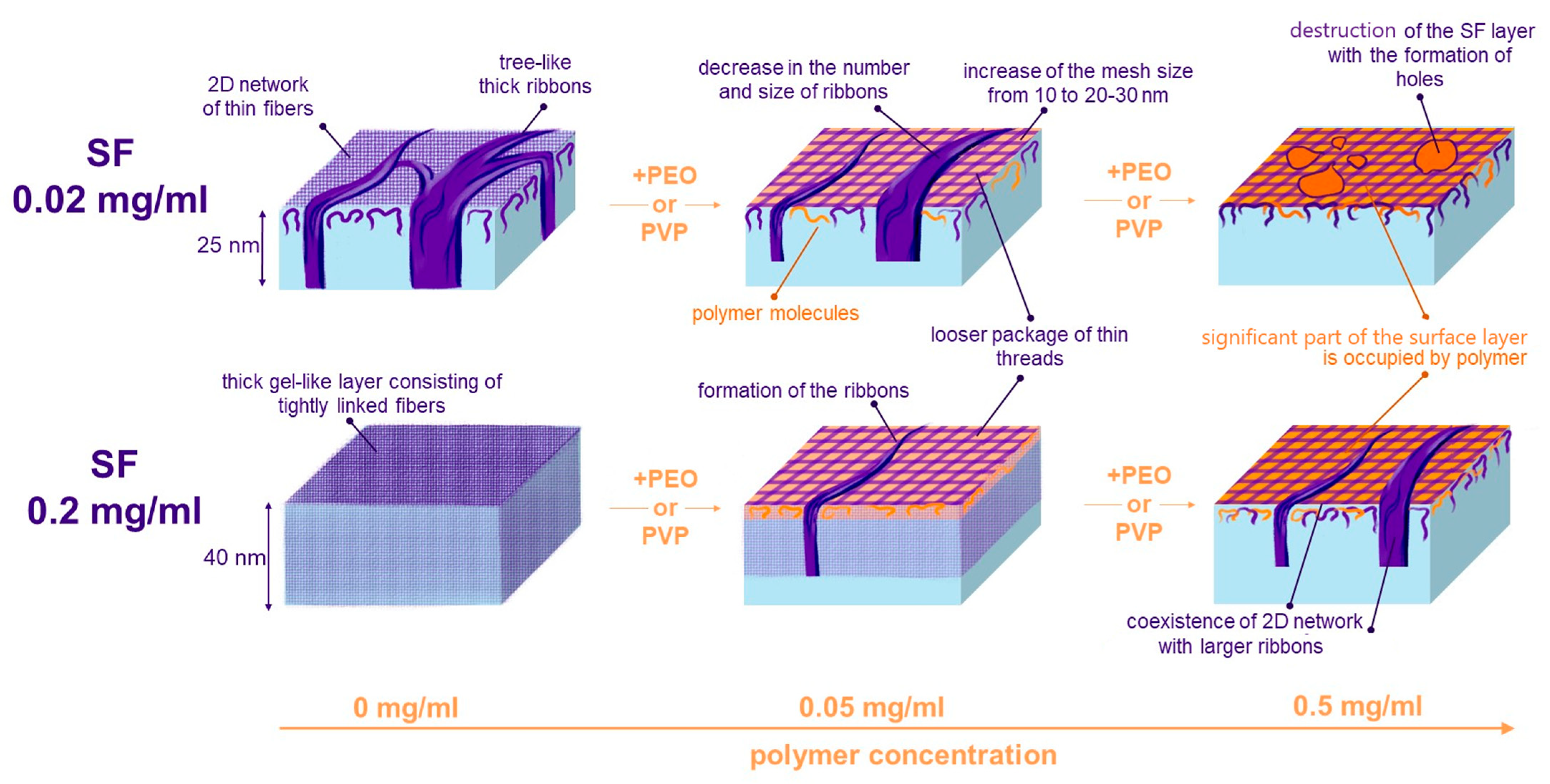 Polymers 17 01733 g008
