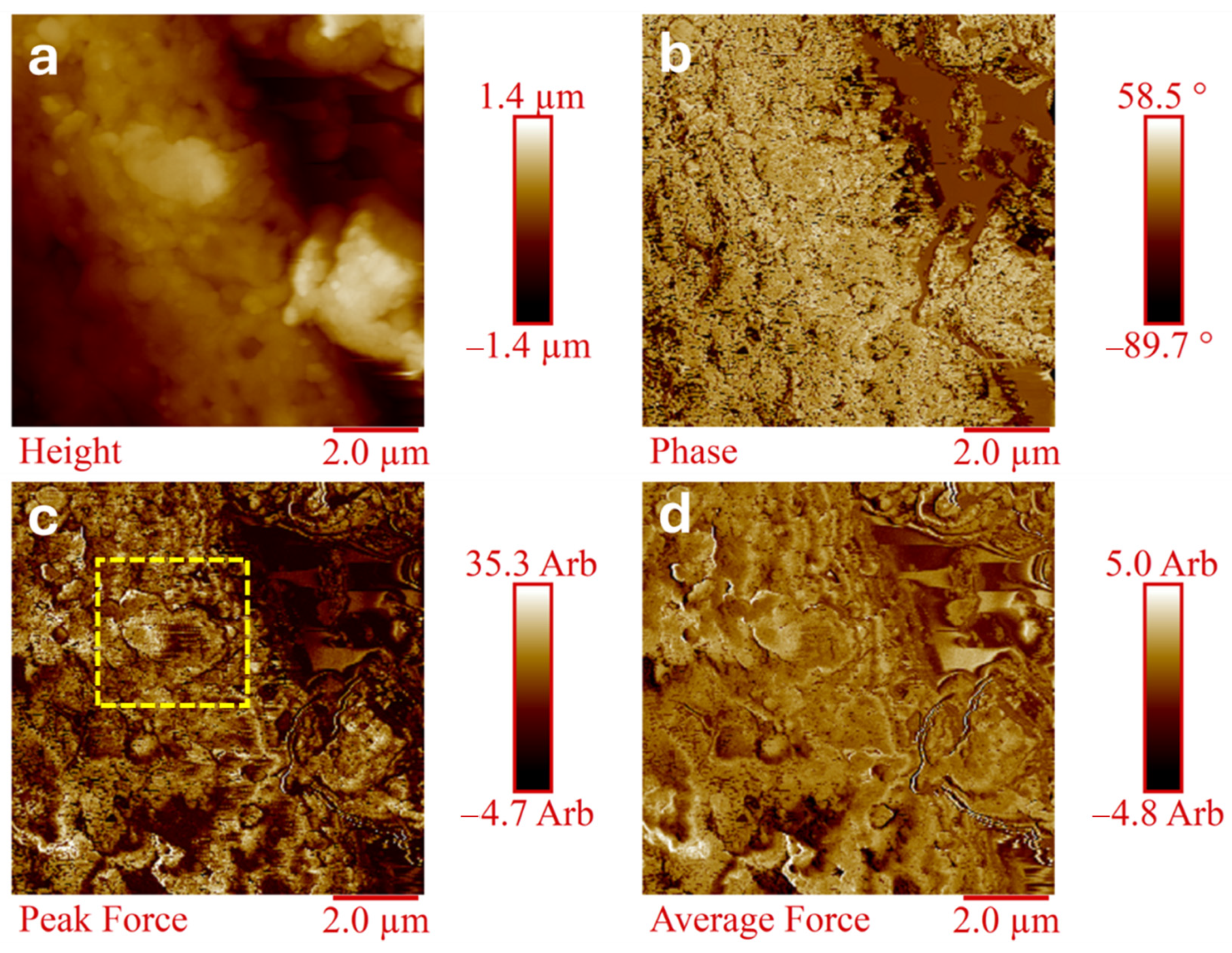 Polymers 17 01735 g007