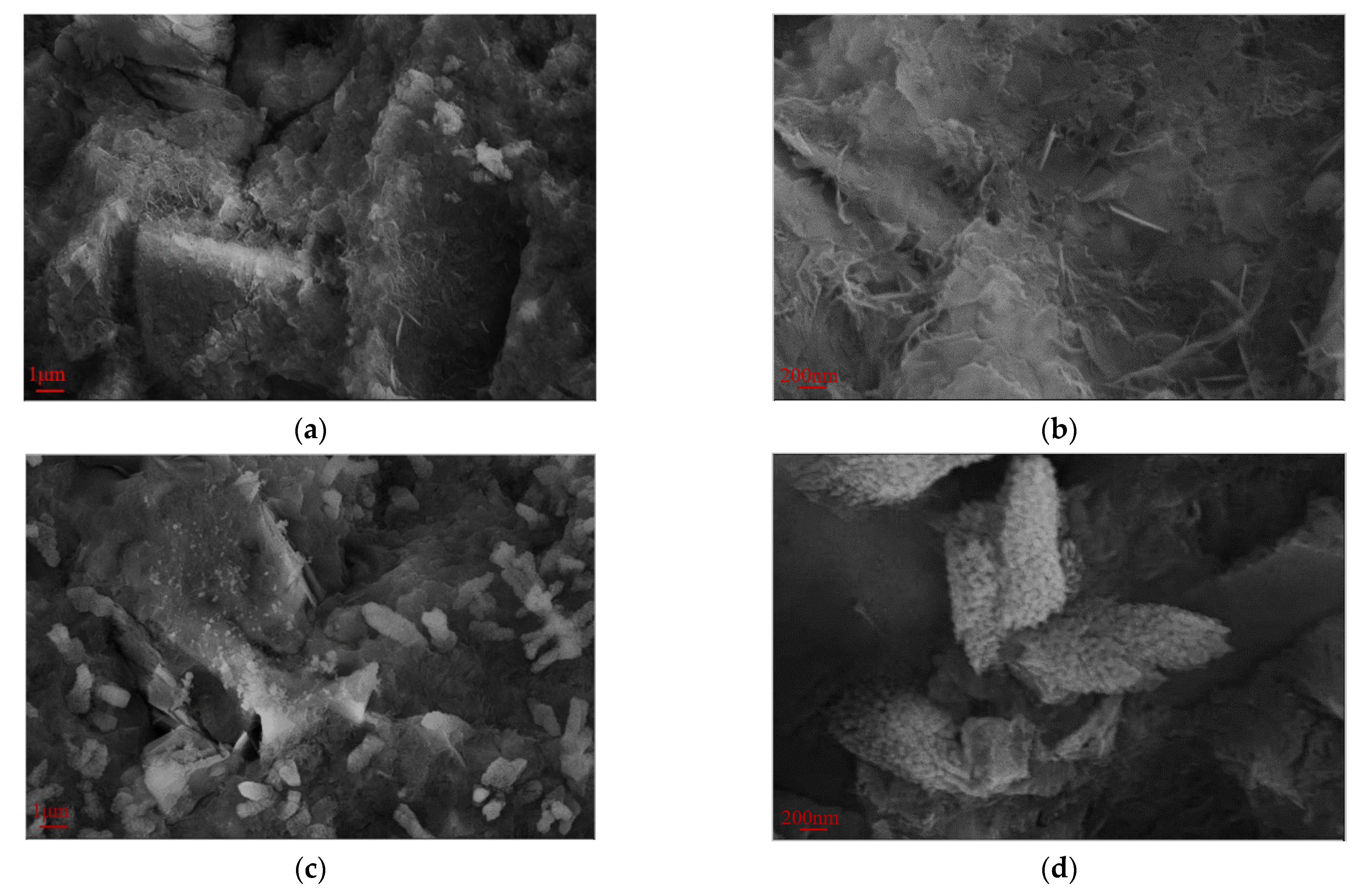 Polymers 17 01738 g009a