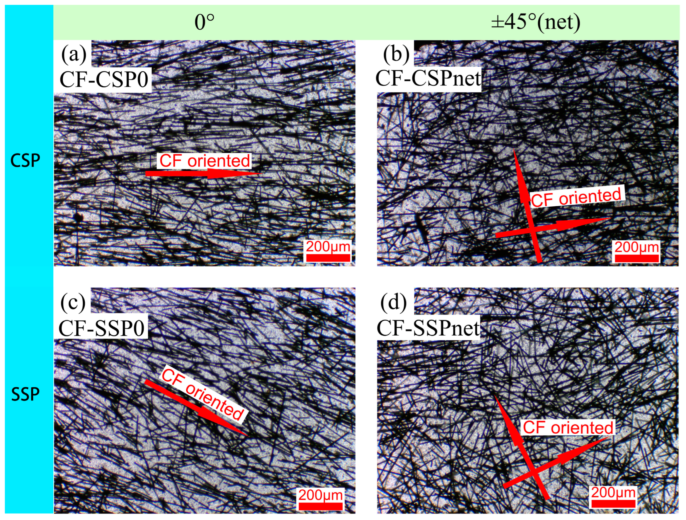 Polymers 17 01739 g004