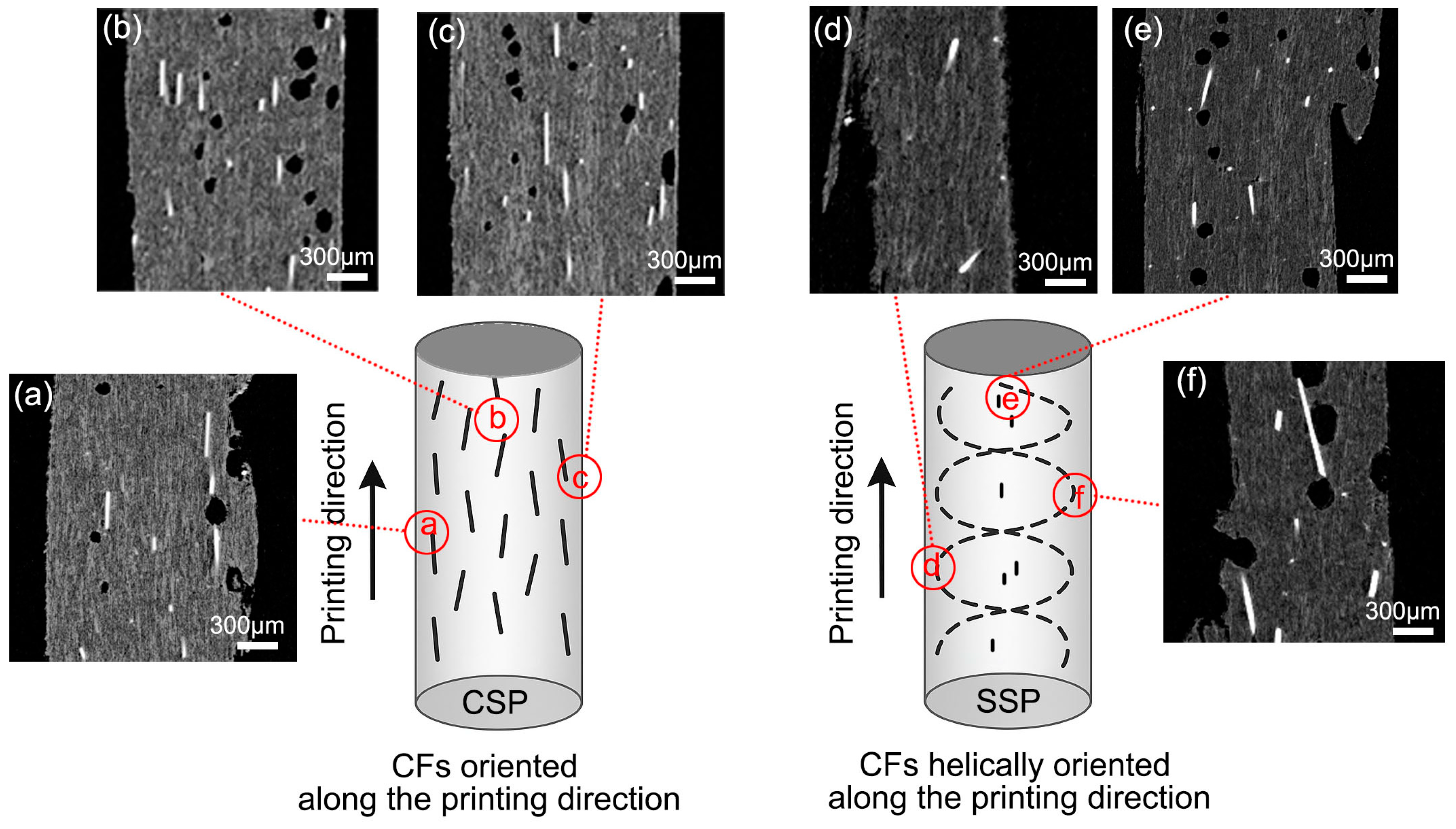 Polymers 17 01739 g005
