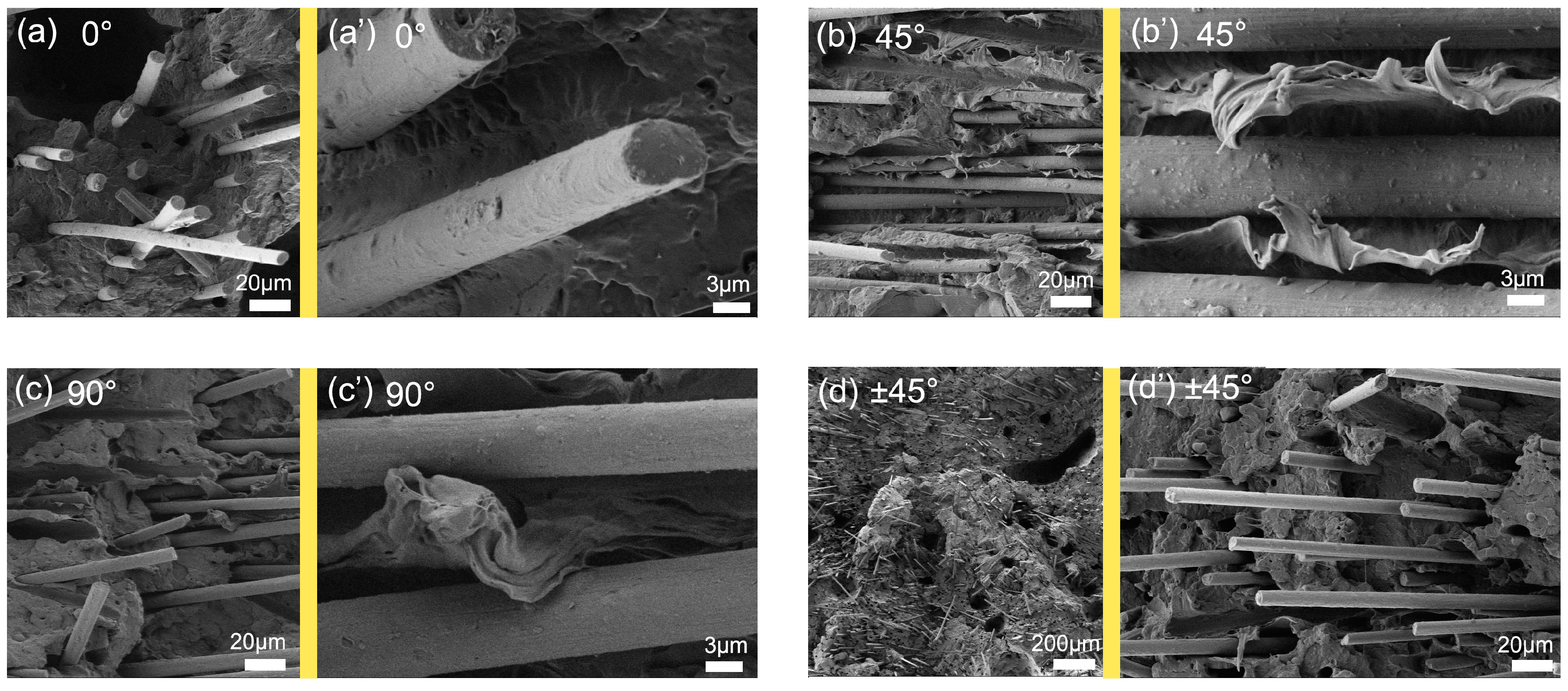 Polymers 17 01739 g007
