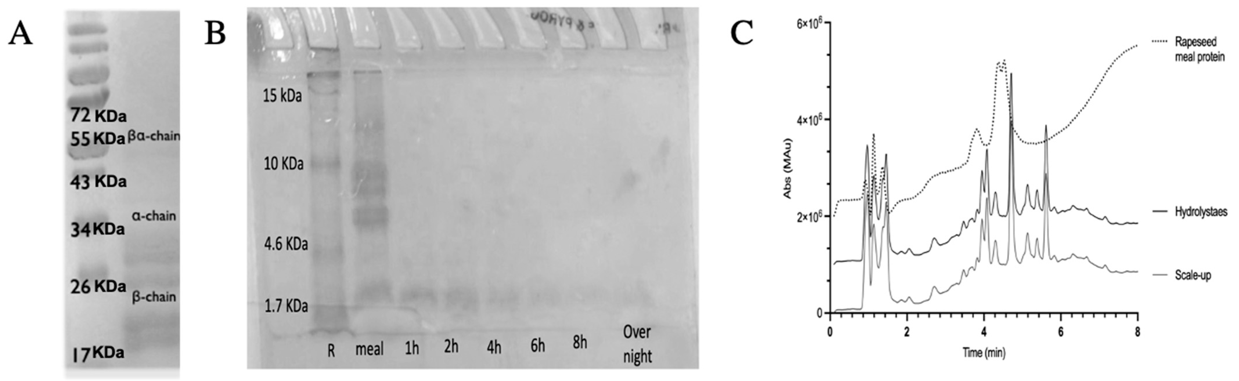Polymers 17 01740 g001