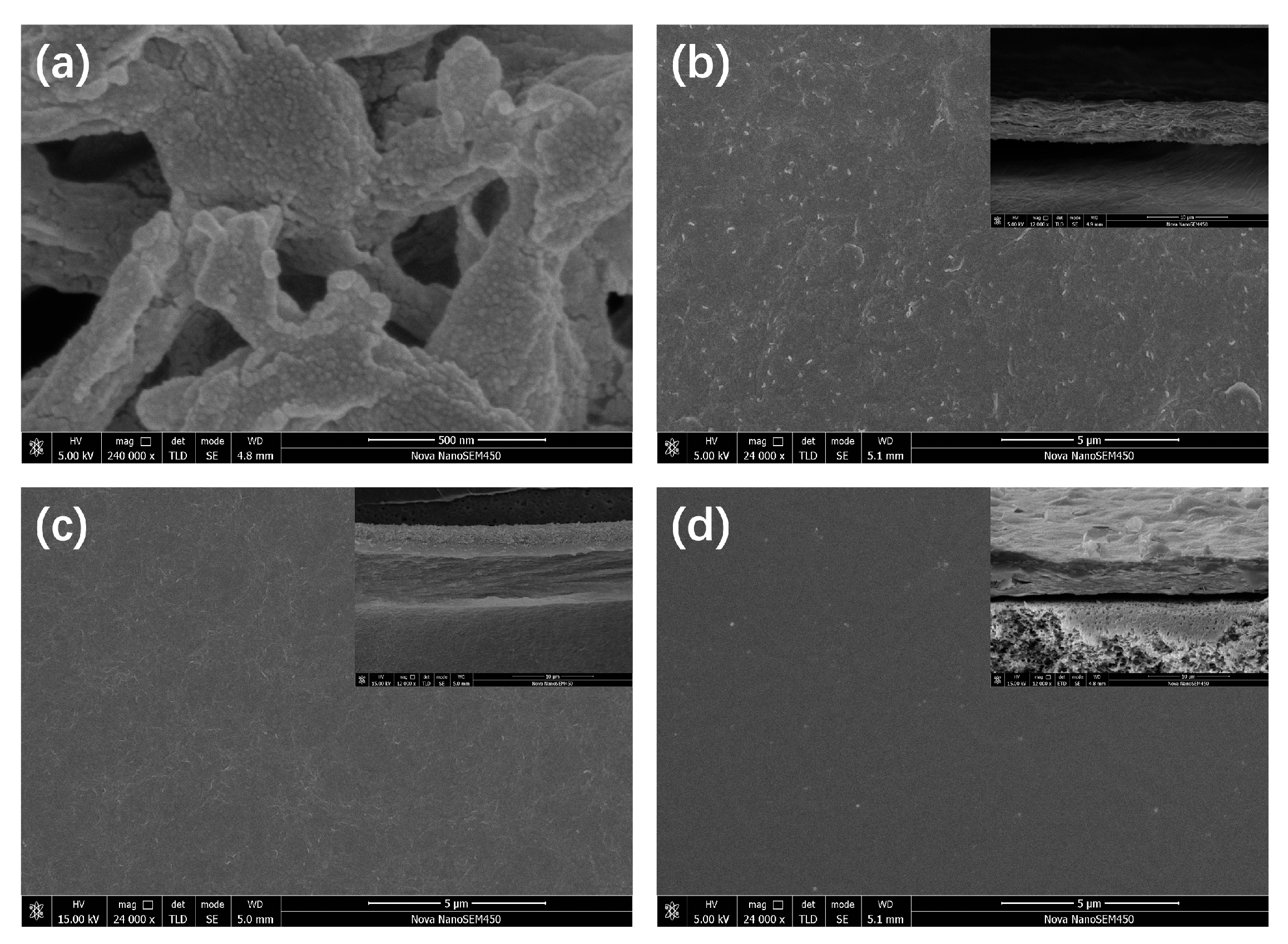 Polymers 17 01741 g002