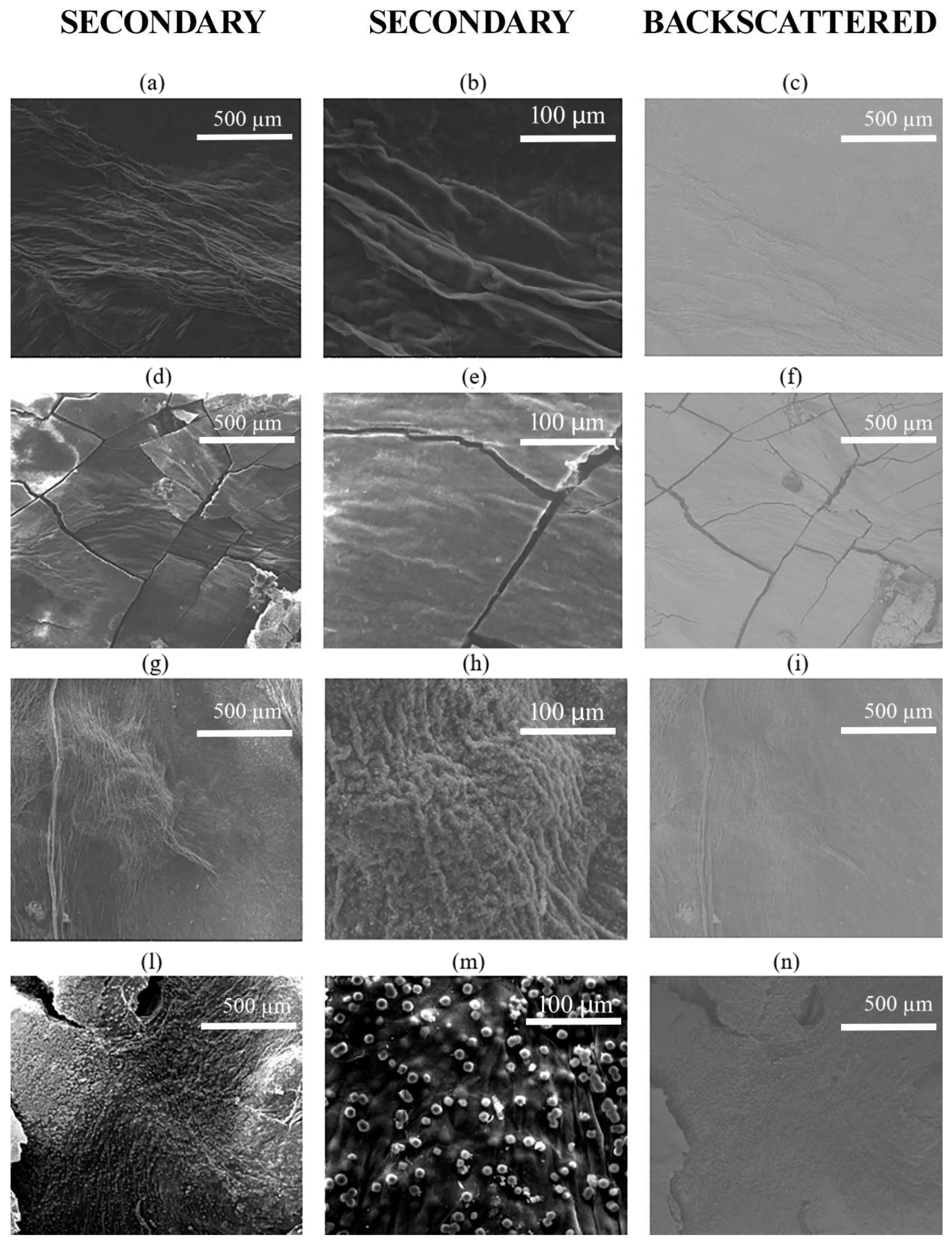 Polymers 17 01743 g009 Polymers 17 01743 g009