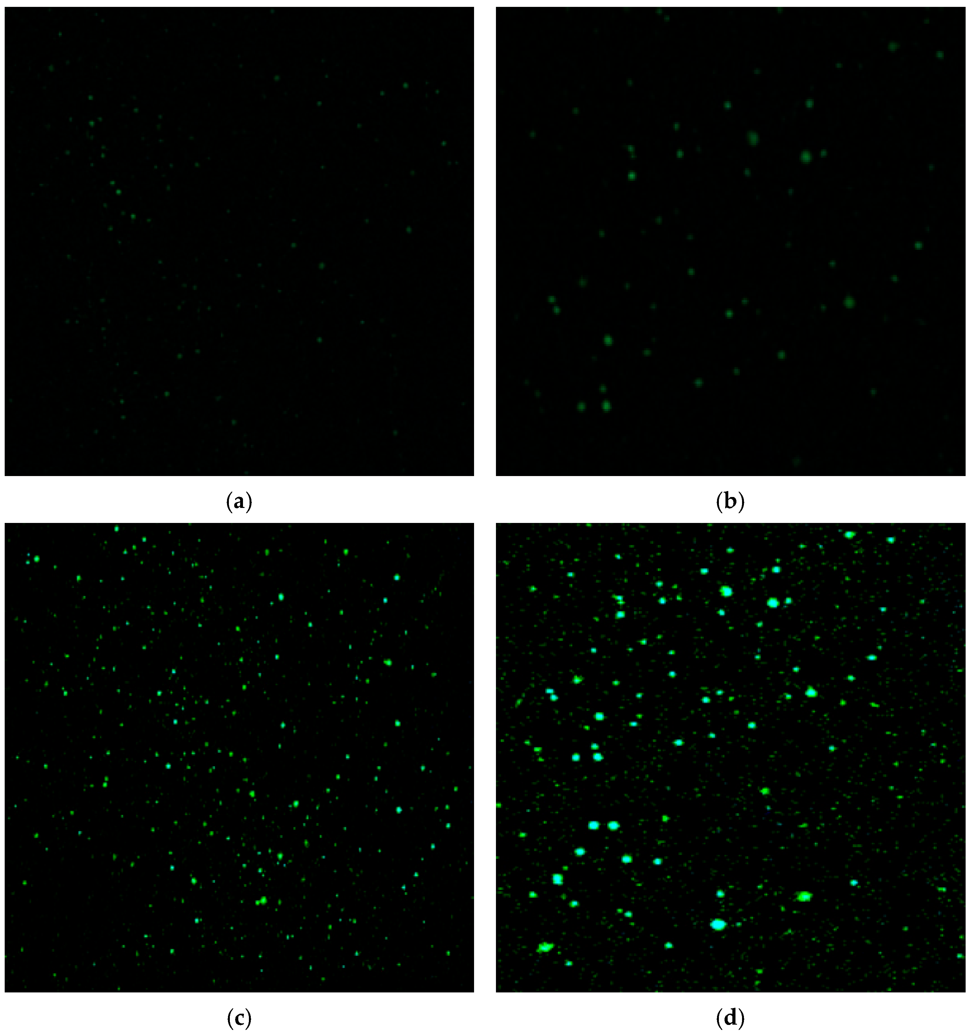 Polymers 17 01746 g015