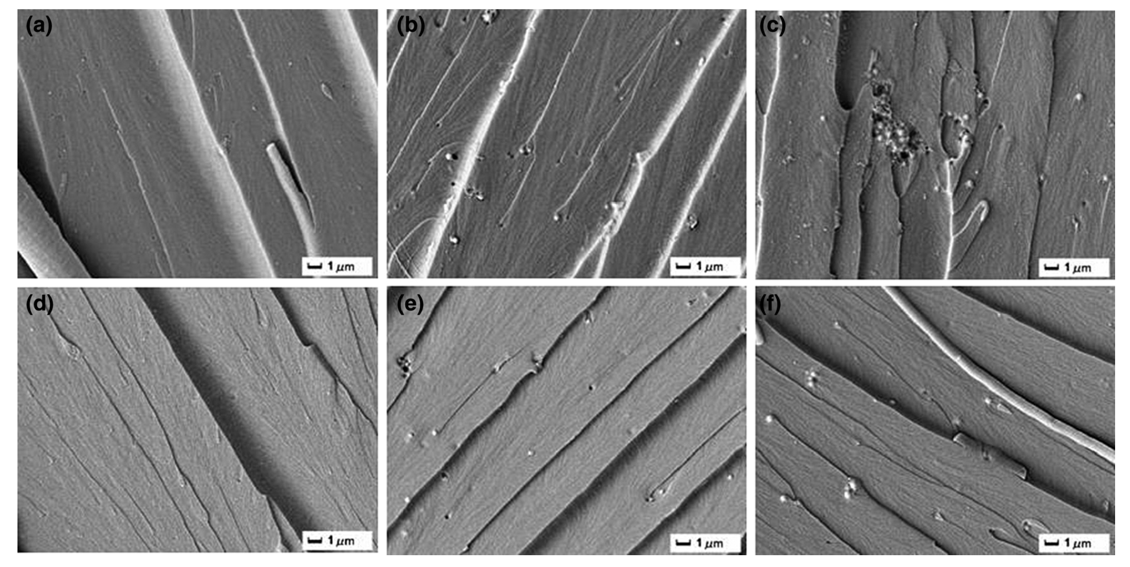 Polymers 17 01747 g009