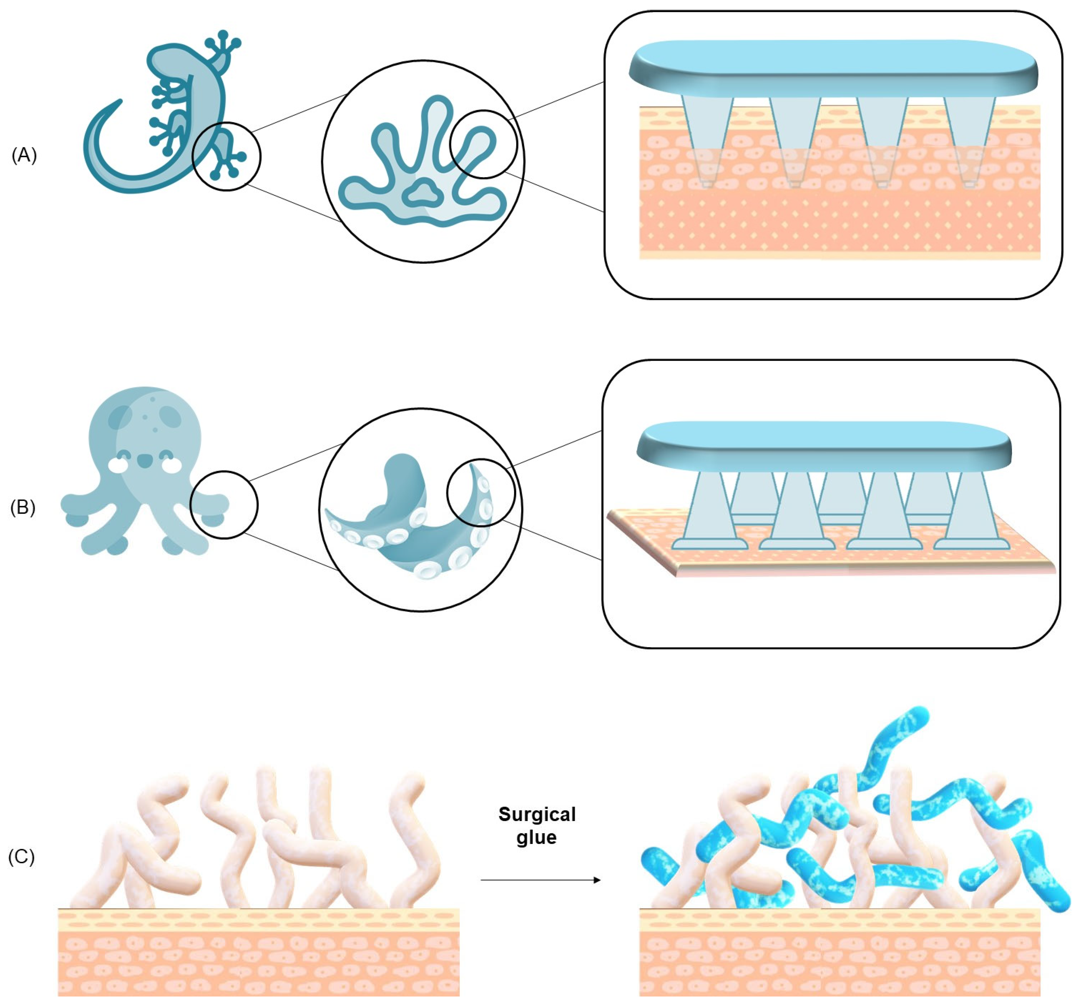 Polymers 17 01749 g007 Polymers 17 01749 g007