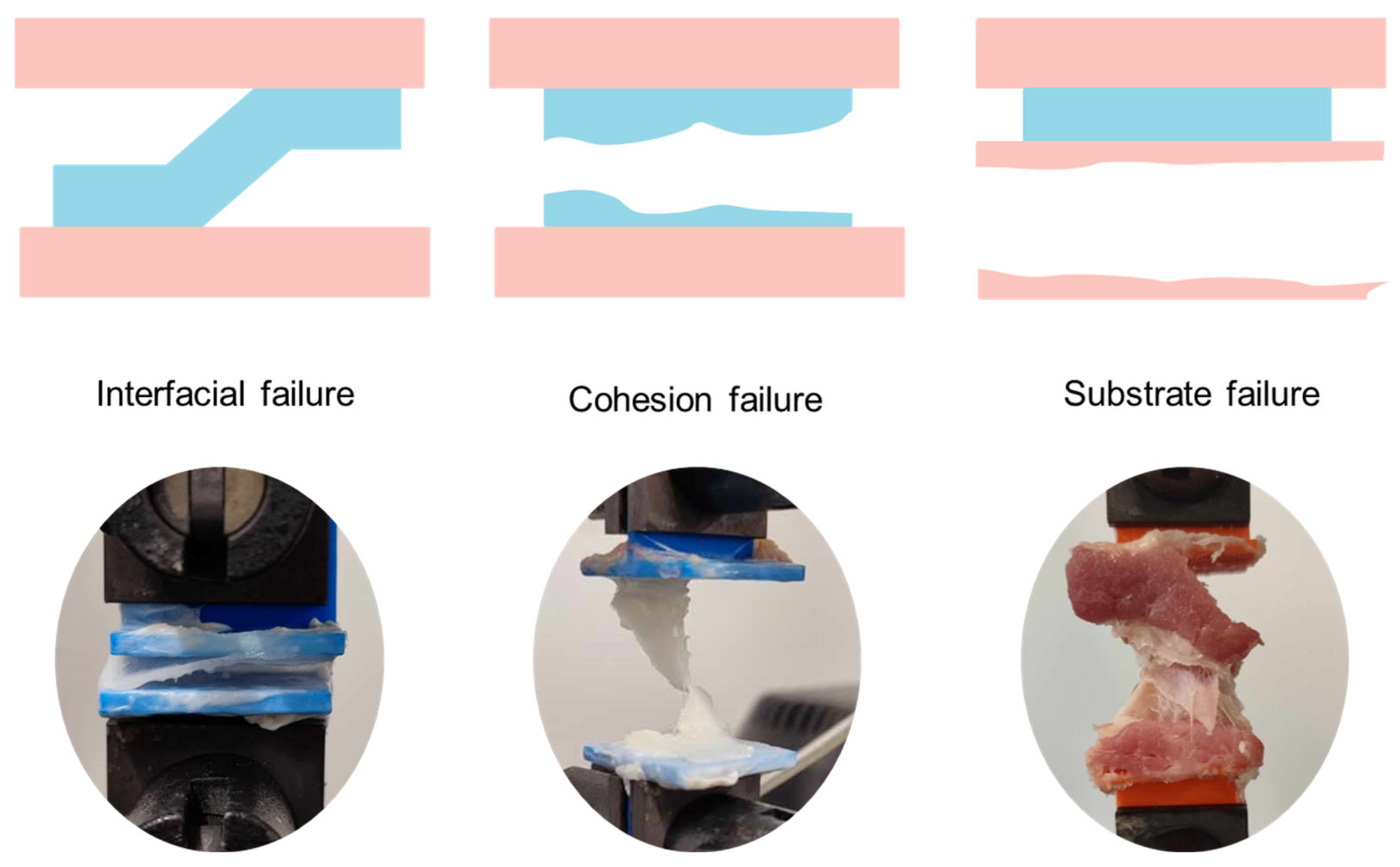 Polymers 17 01749 g009 Polymers 17 01749 g009