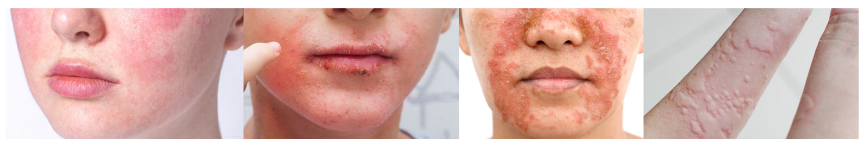 Polymers 17 01749 g011 Polymers 17 01749 g011