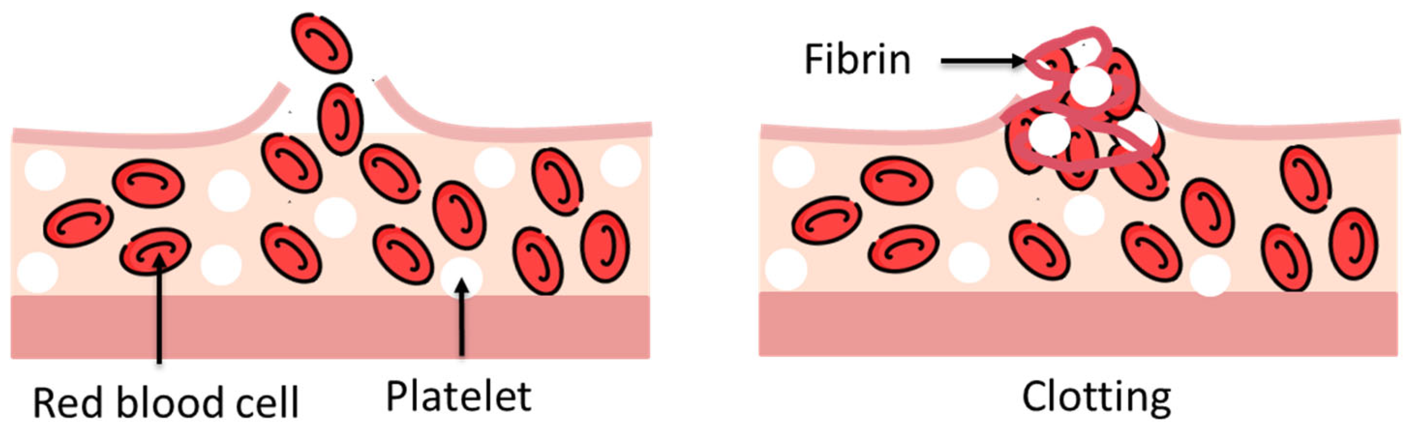 Polymers 17 01749 g013 Polymers 17 01749 g013