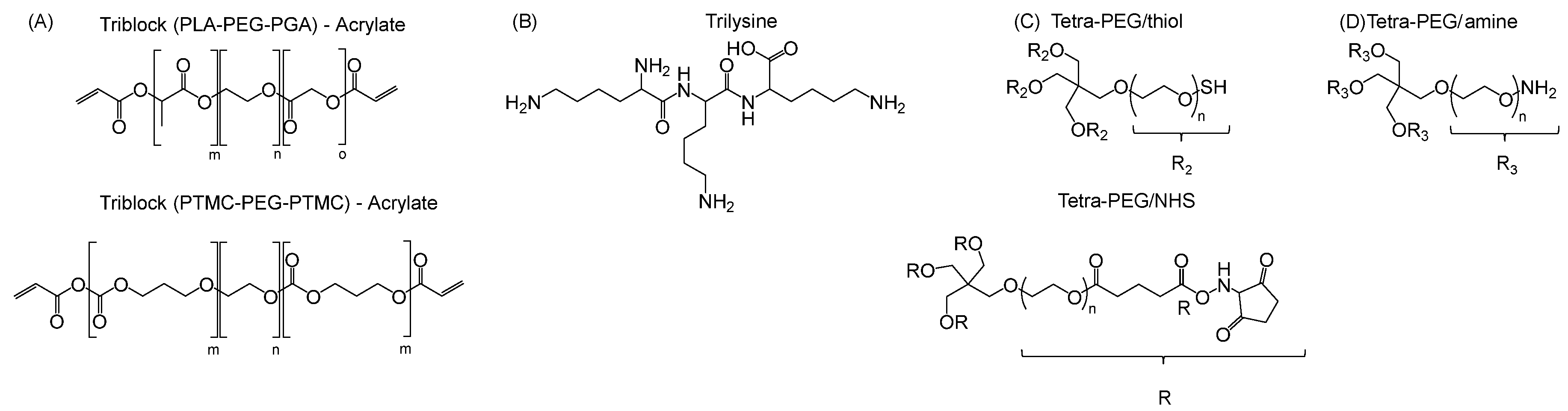 Polymers 17 01749 g023 Polymers 17 01749 g023