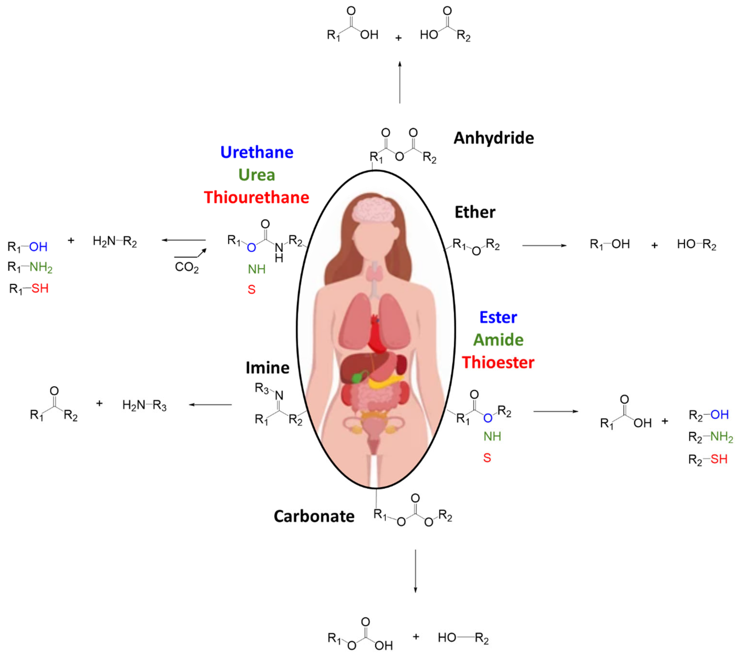 Polymers 17 01749 sch001 Polymers 17 01749 sch001