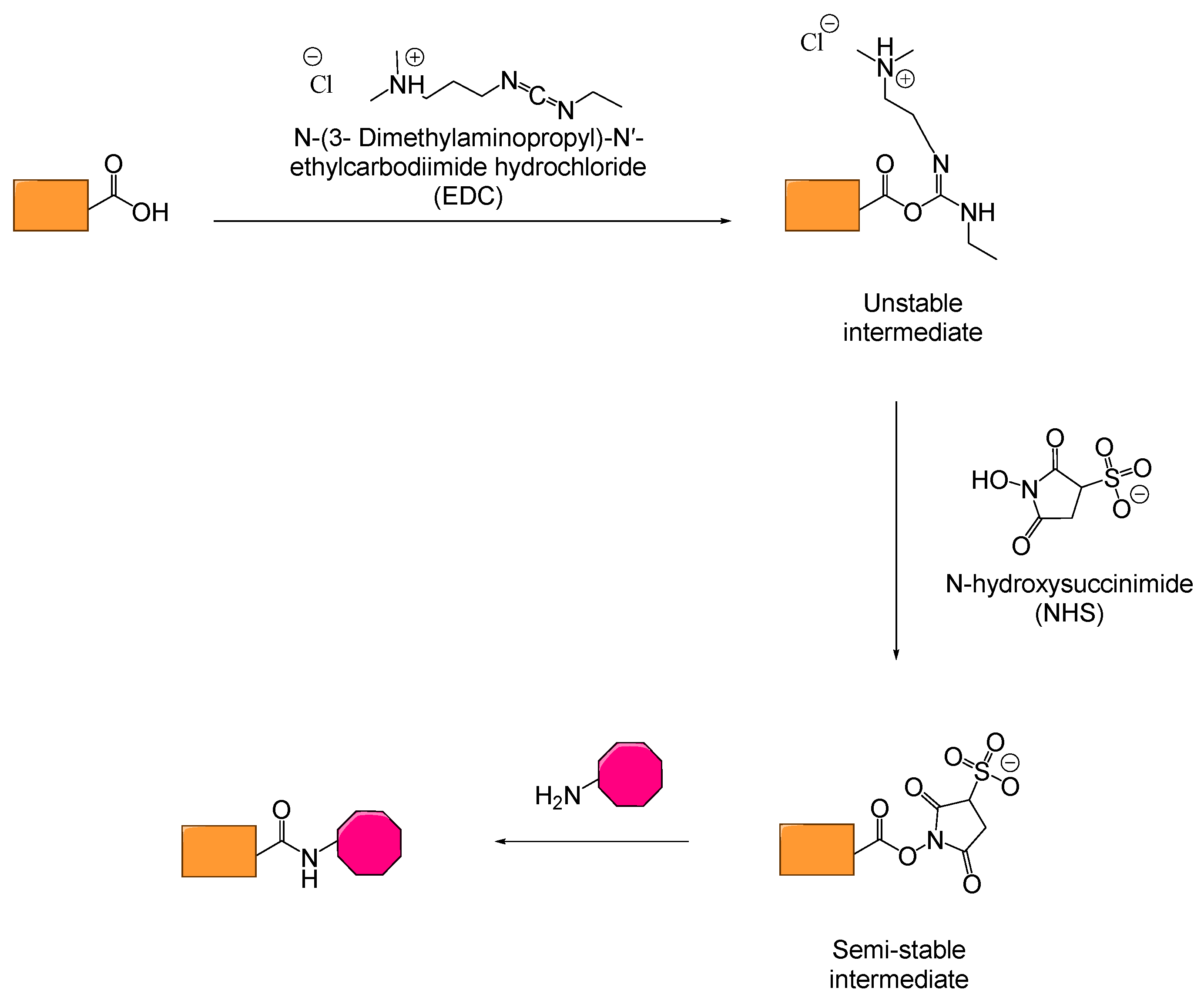 Polymers 17 01749 sch005 Polymers 17 01749 sch005