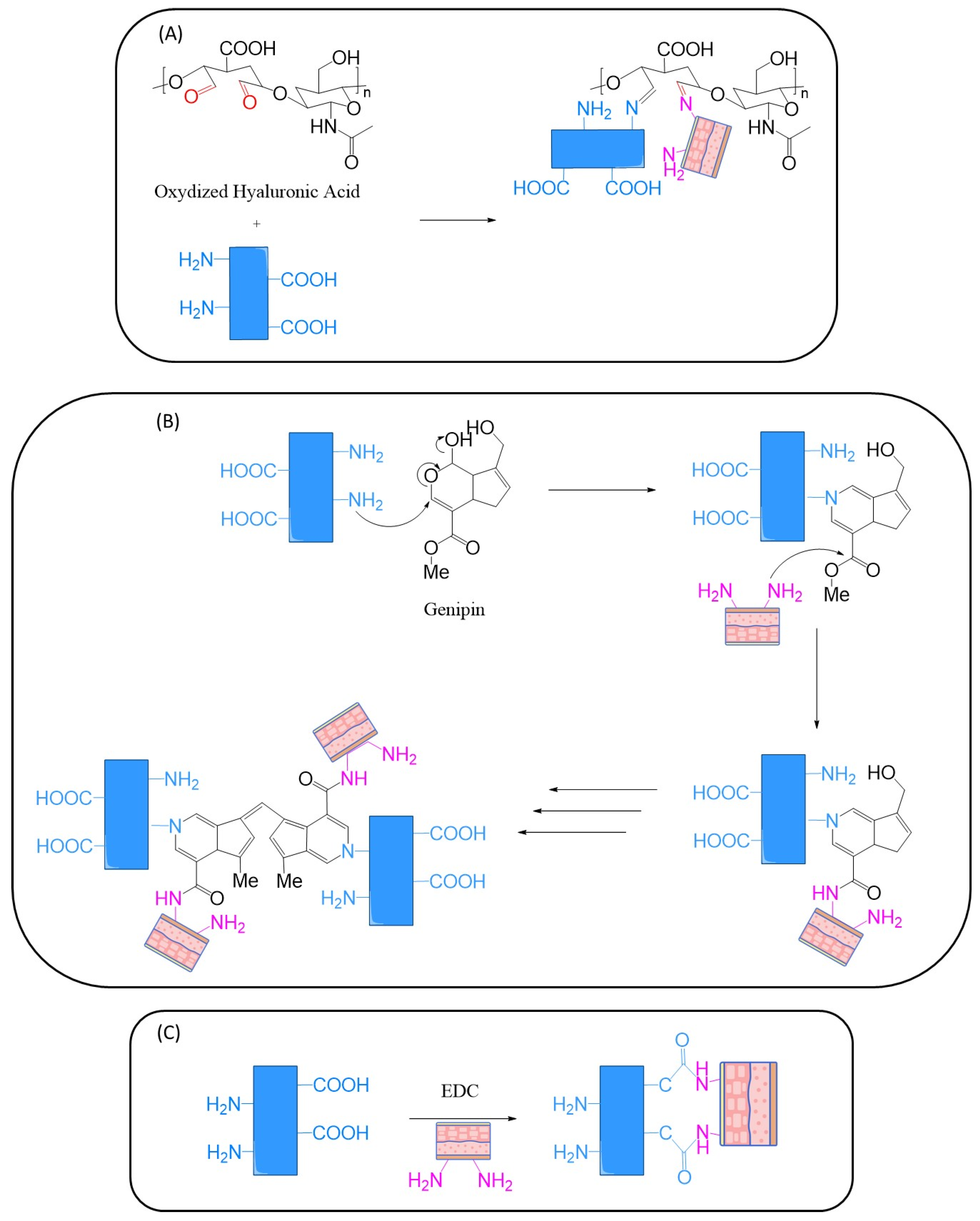 Polymers 17 01749 sch007 Polymers 17 01749 sch007