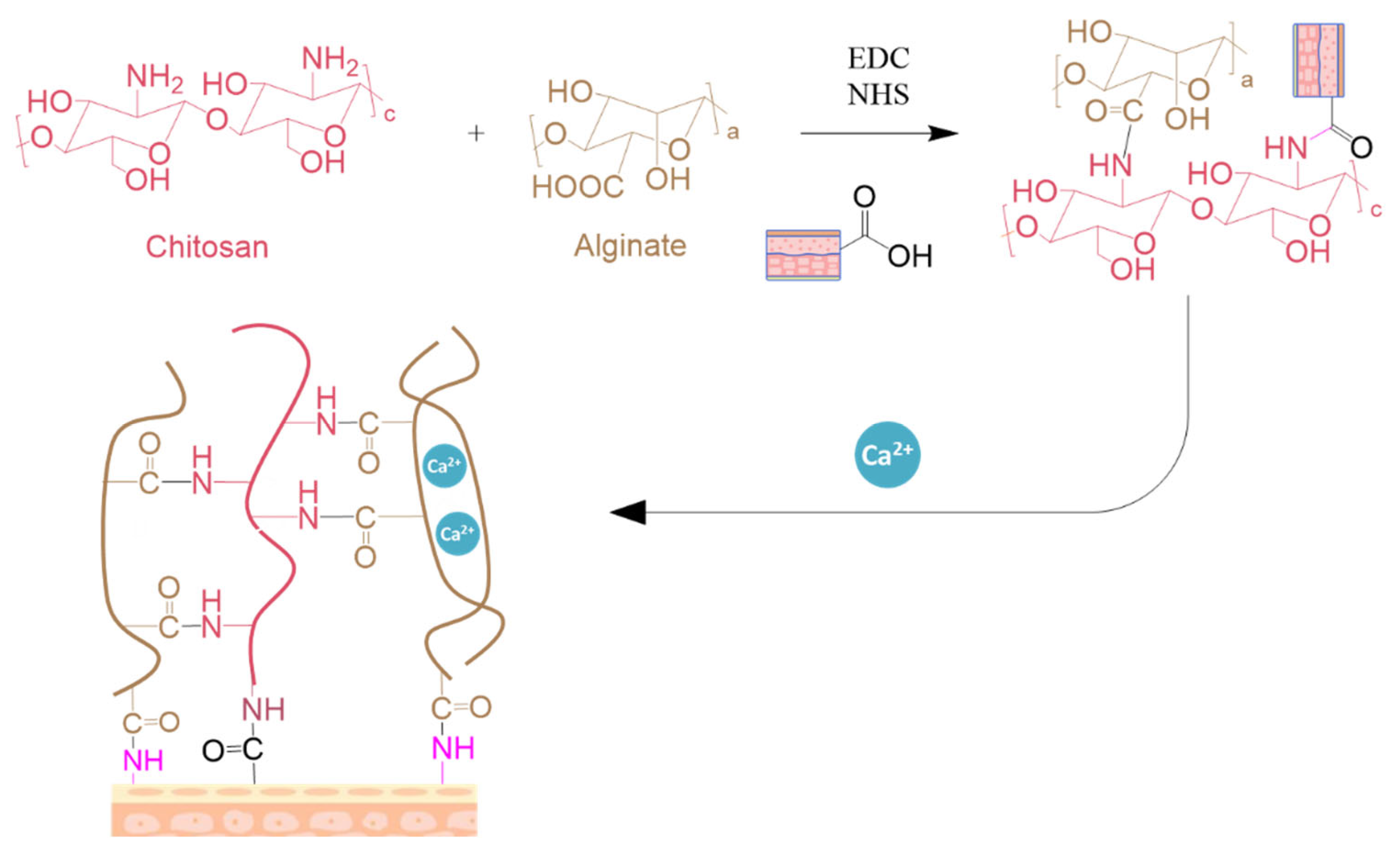 Polymers 17 01749 sch011 Polymers 17 01749 sch011