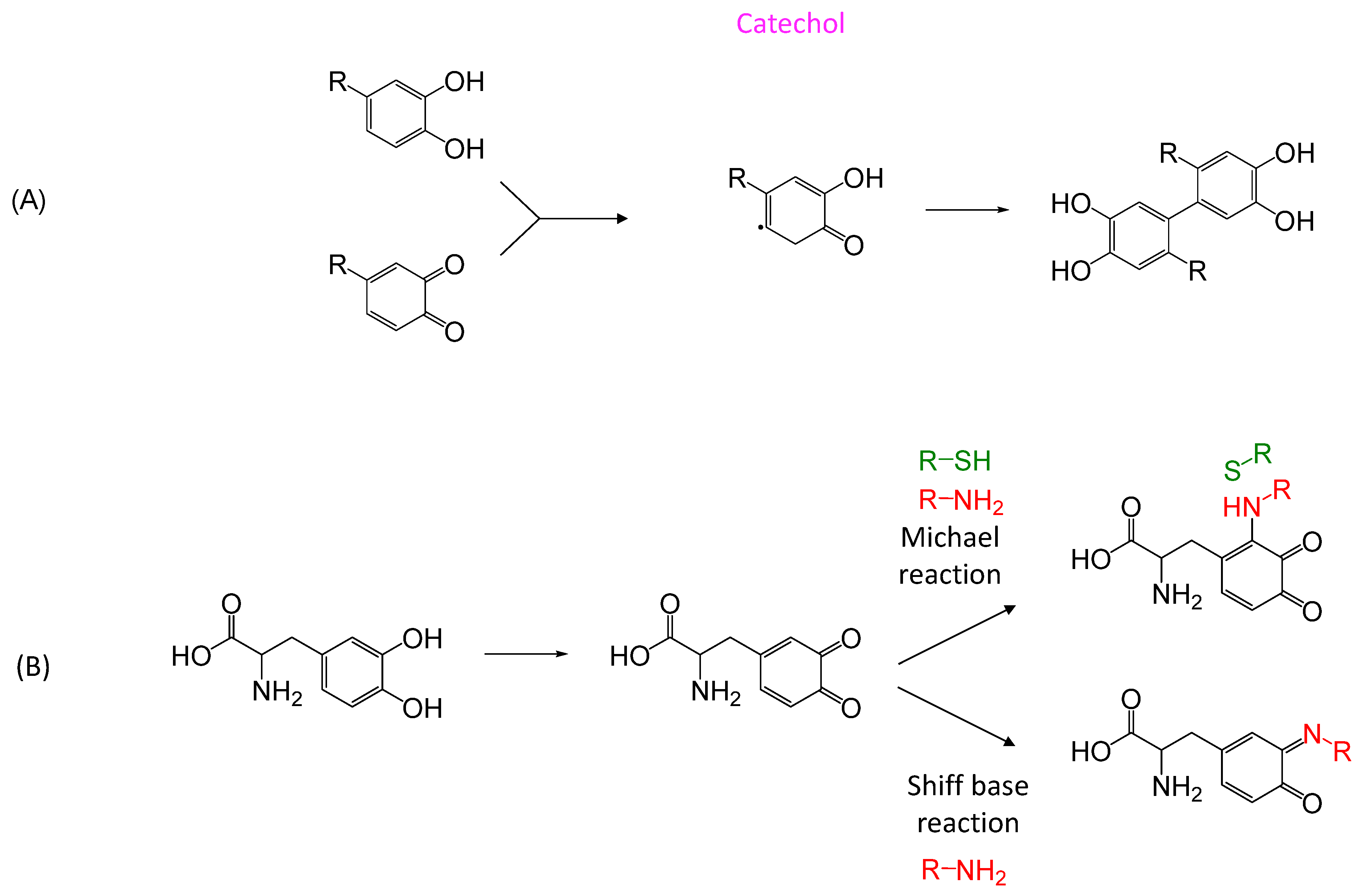 Polymers 17 01749 sch013 Polymers 17 01749 sch013