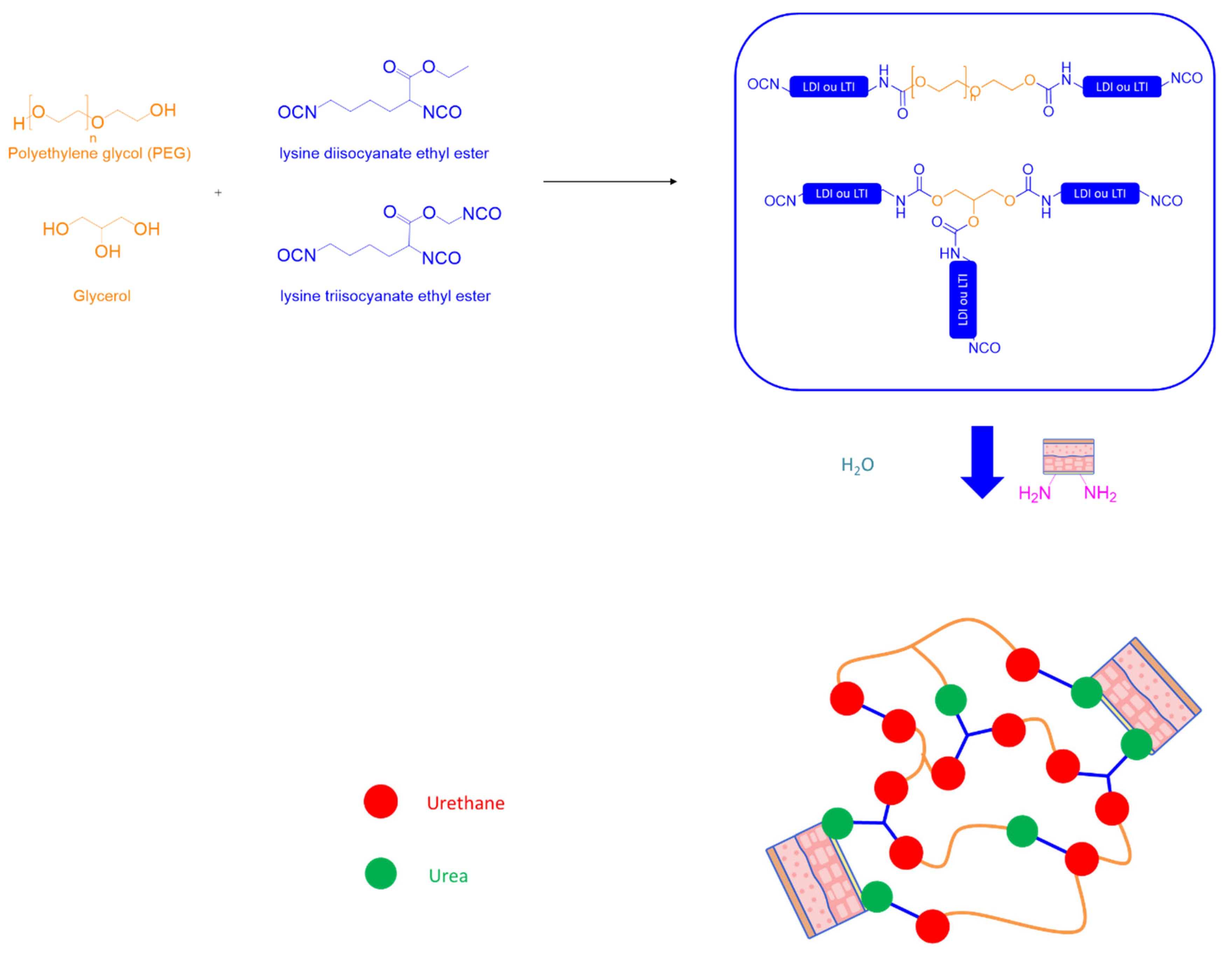 Polymers 17 01749 sch017 Polymers 17 01749 sch017