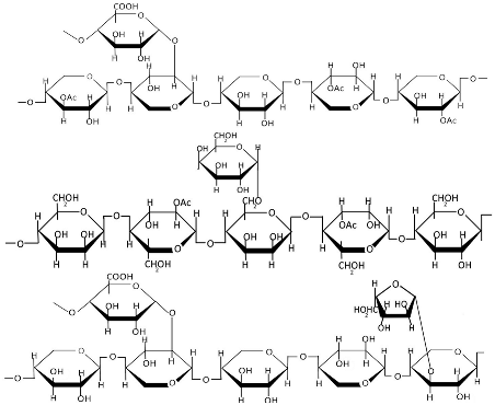 Polymers 17 01750 i005 Polymers 17 01750 i005