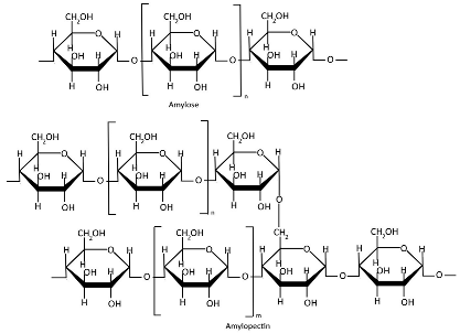Polymers 17 01750 i006 Polymers 17 01750 i006